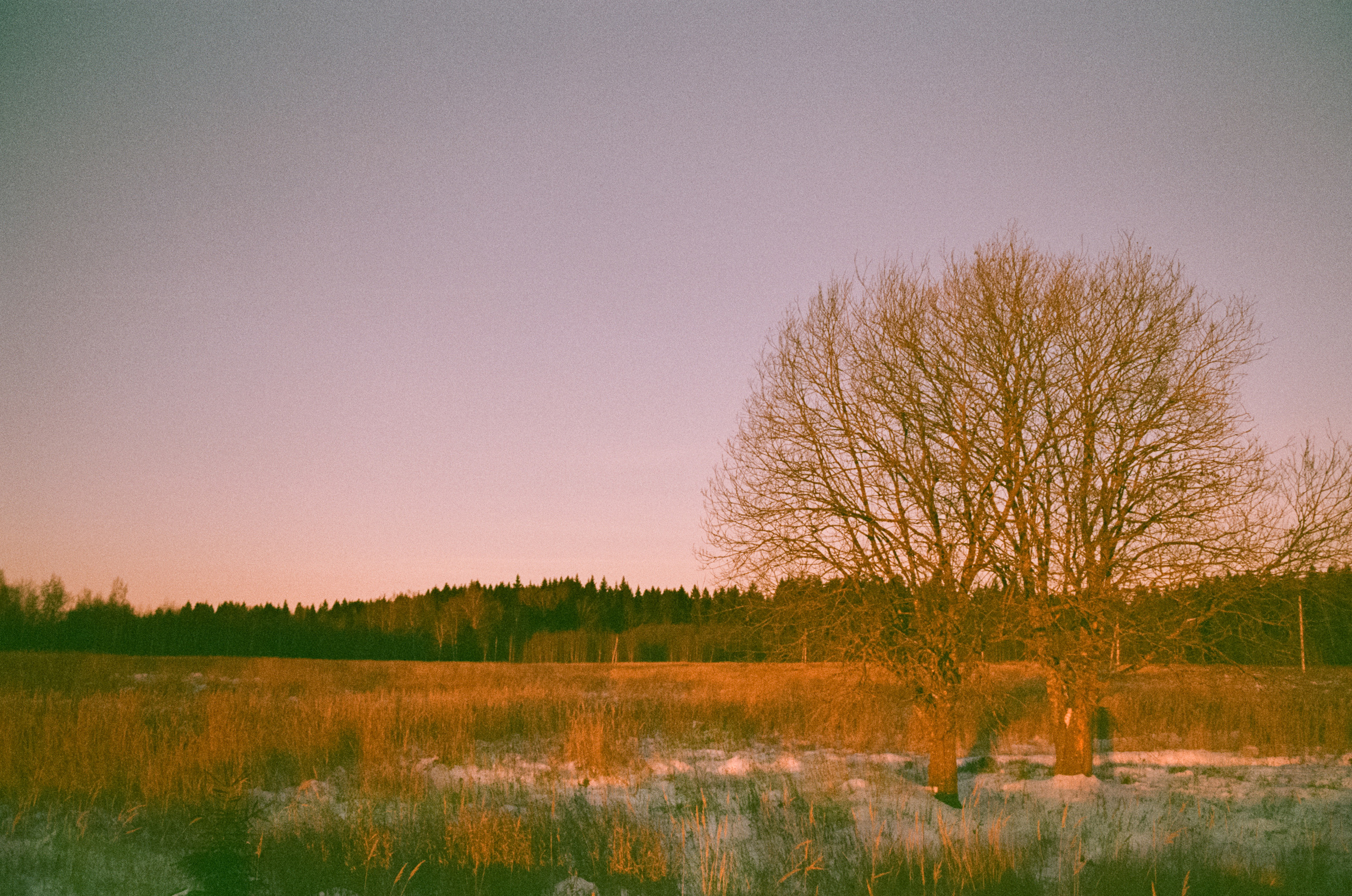 Закат на Konica Centuria Super 400