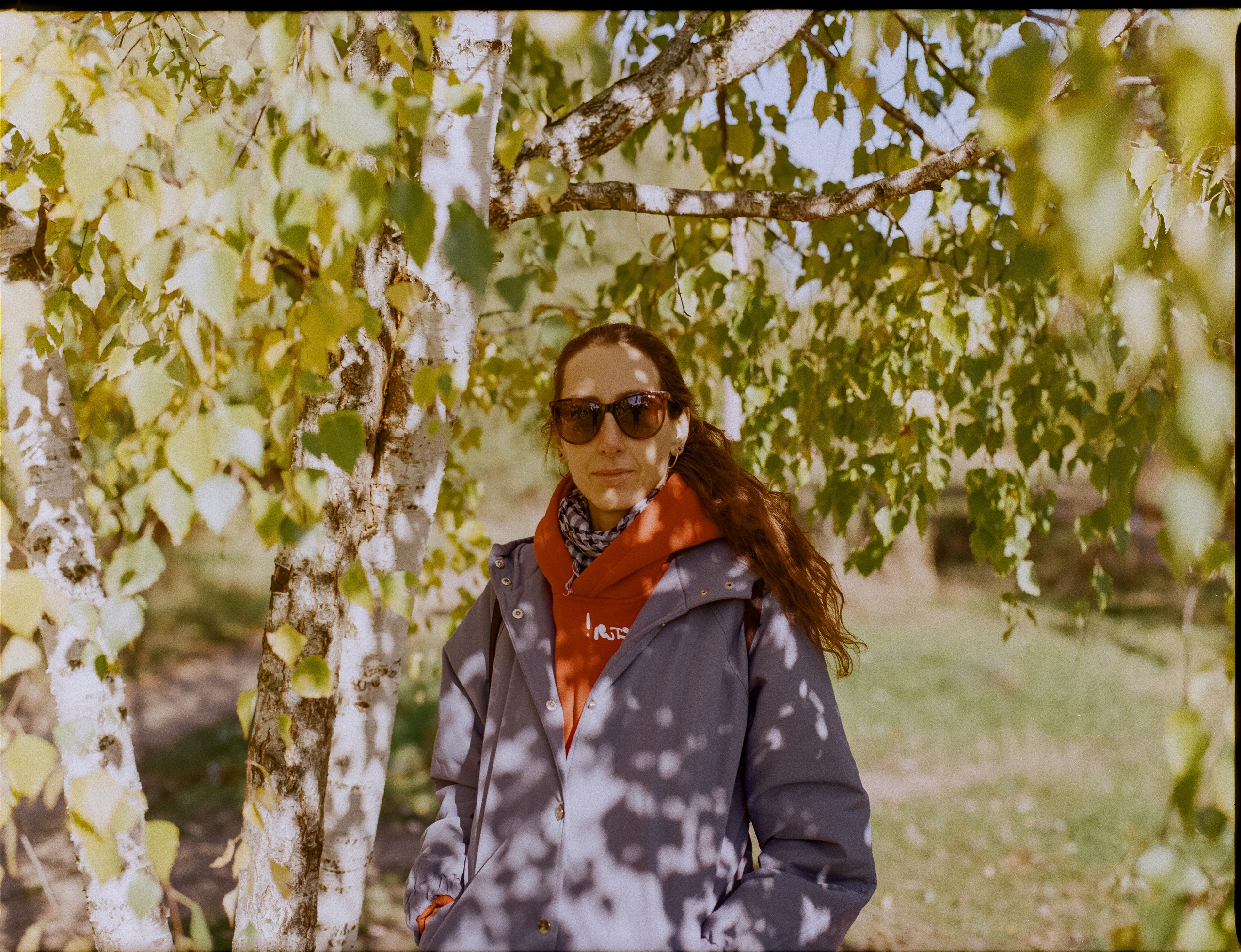 Mamiya-Sekor C 80mm f1.9