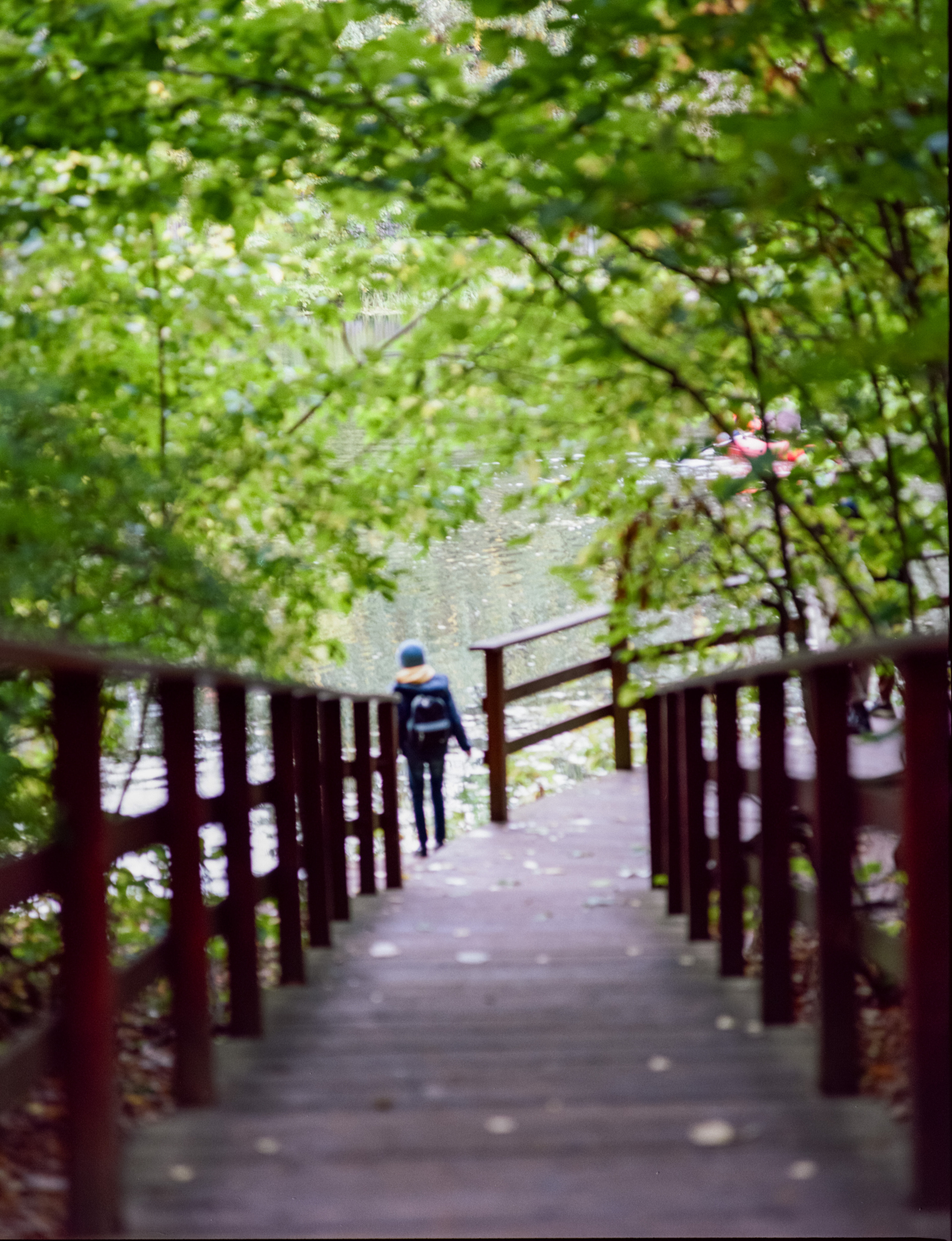 Zenza Bronica ETR — Zenzanon 150 f3.5 / Kodak Portra 160