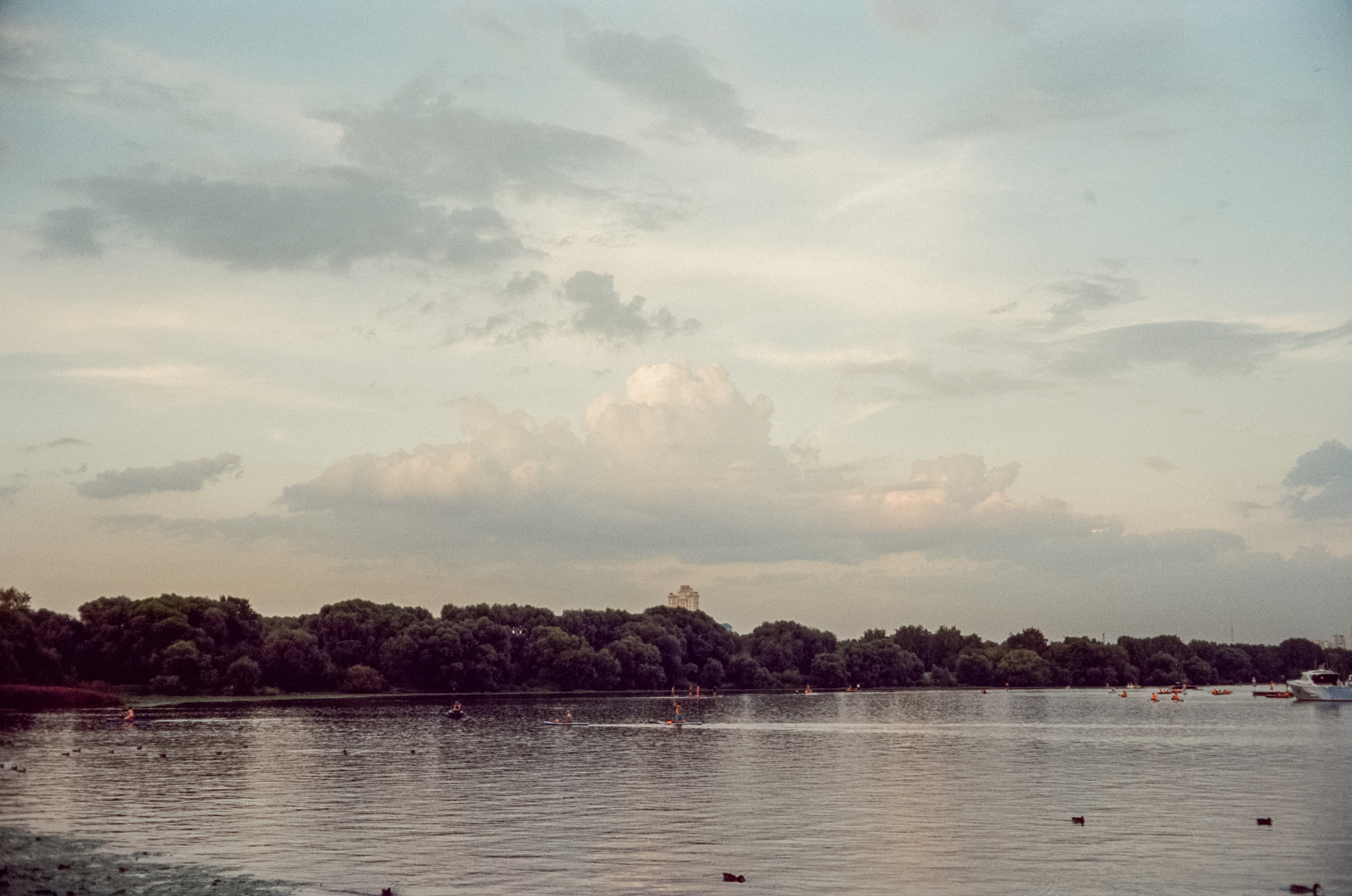 Canon Canonet QL17 G-III QL / Kodak Vision 3 250D