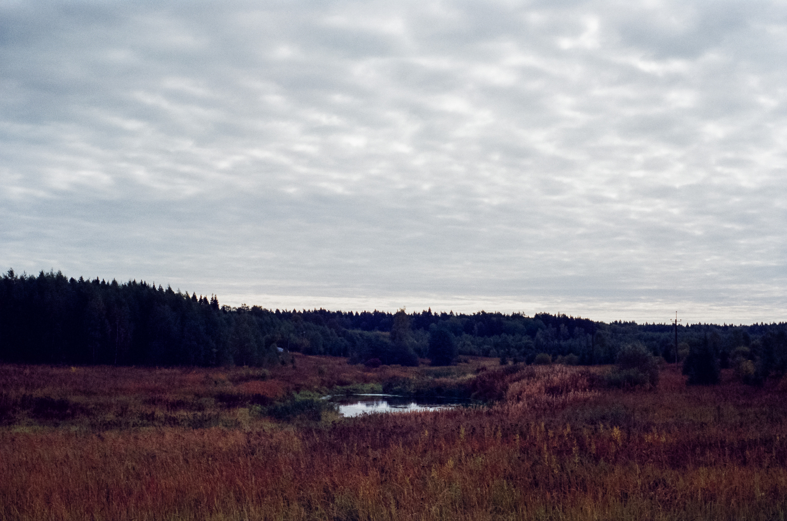 Kodak Retina IIIc — Retina Xenon C 50 mm f2.0 / Kodak Vision 3 250D