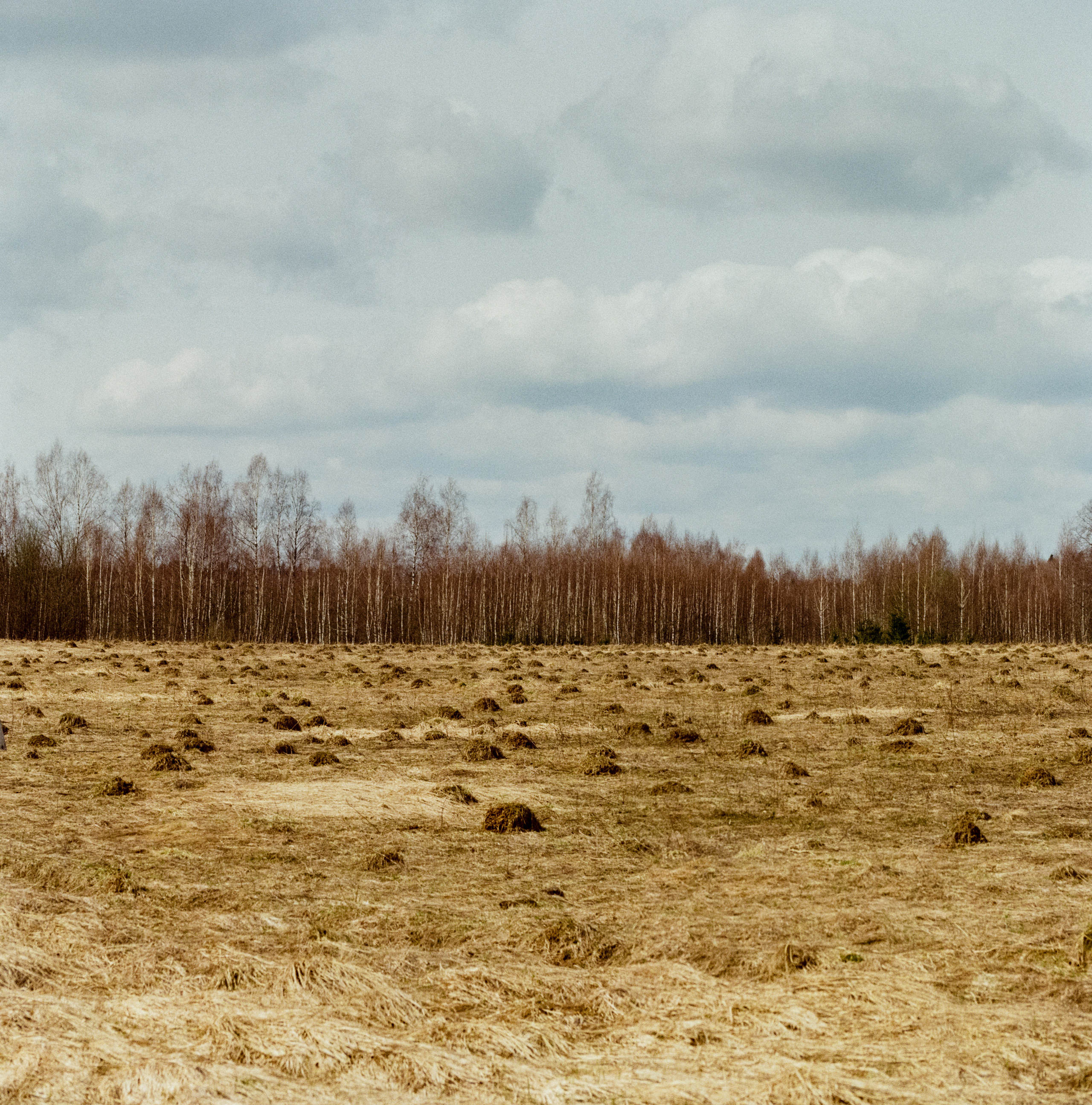 Carl Zeiss Makro-Sonnar 100mm f2.8