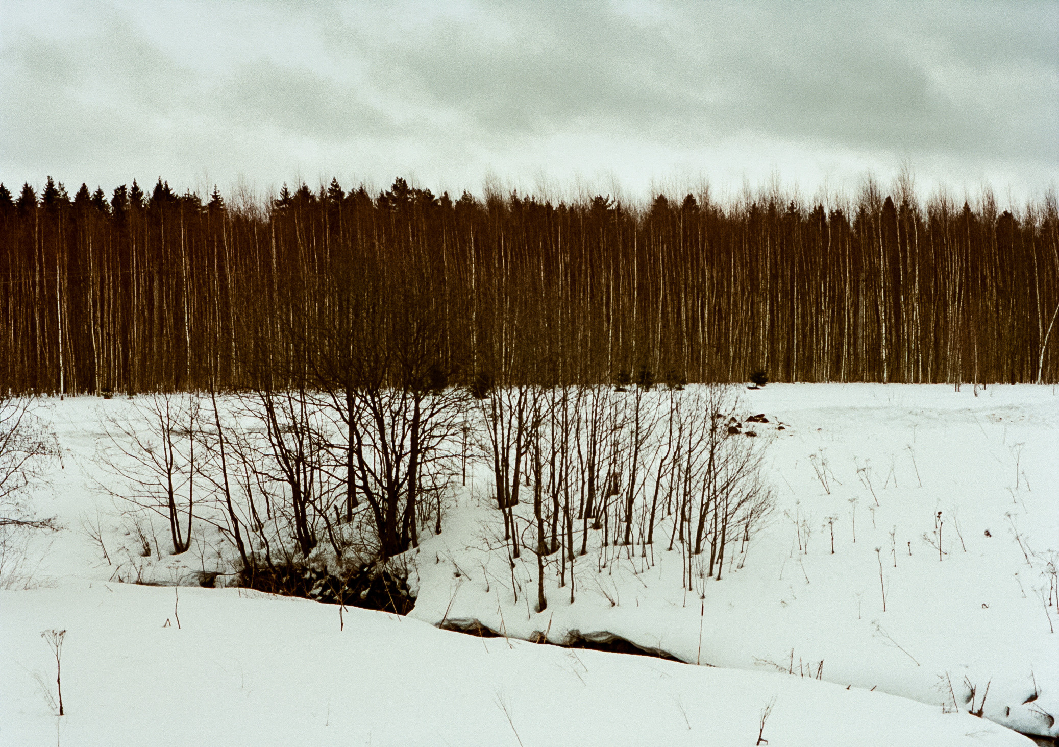 Kodak Aerocolor IV / Olympus Pen FT