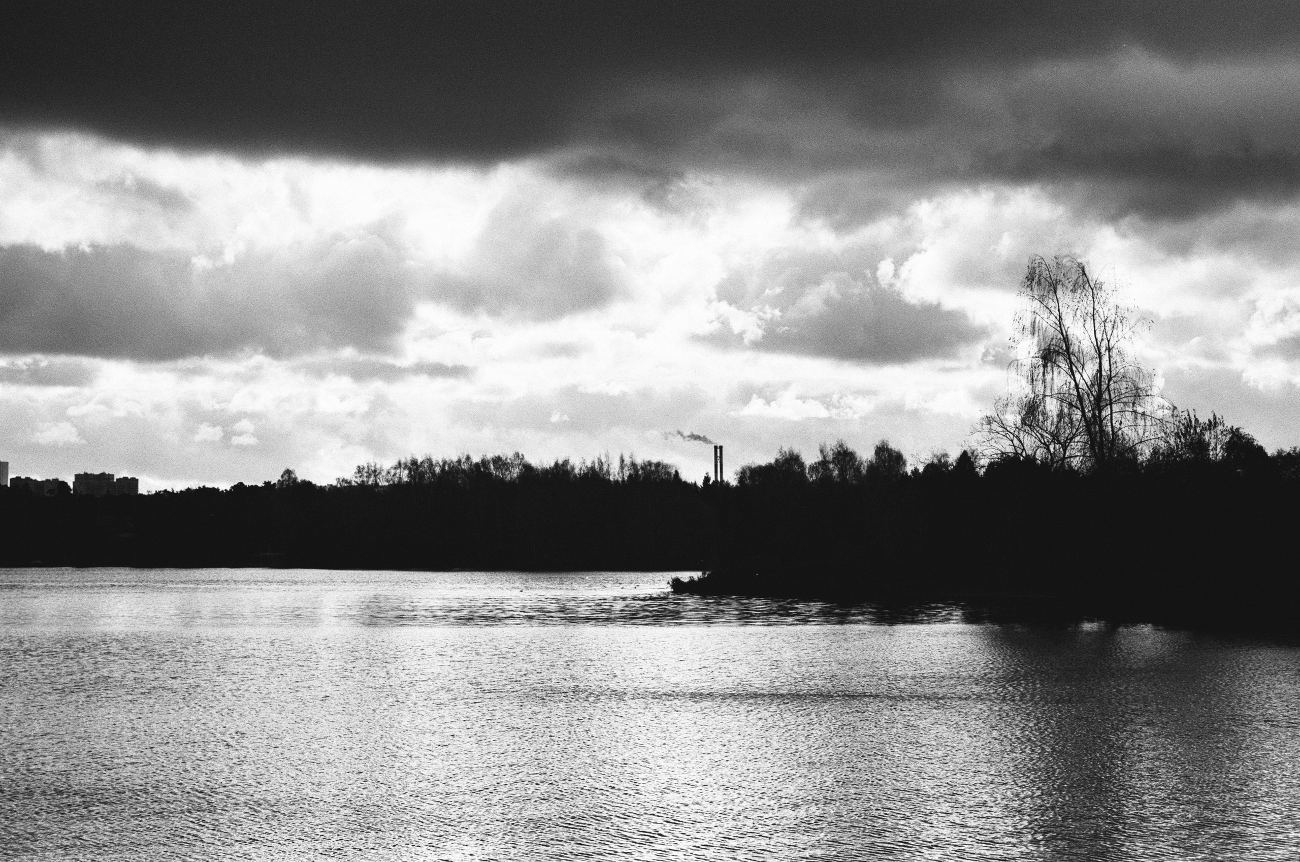 Cosina 55 mm f1.2 — Ricoh XR-10M / Тасма Тип-42 ISO 100