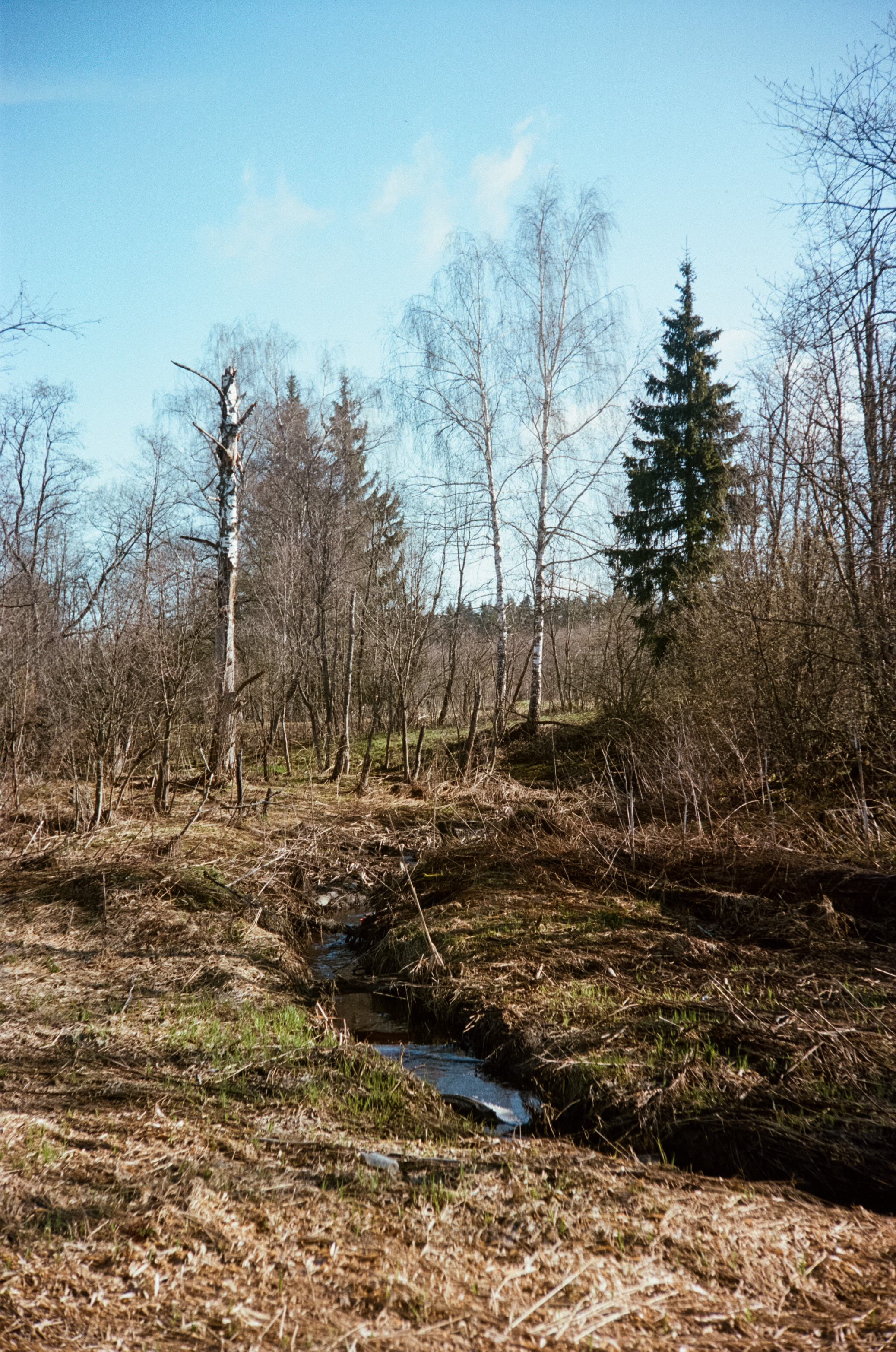 Kodak Portra 160 / Walz Envoy 35