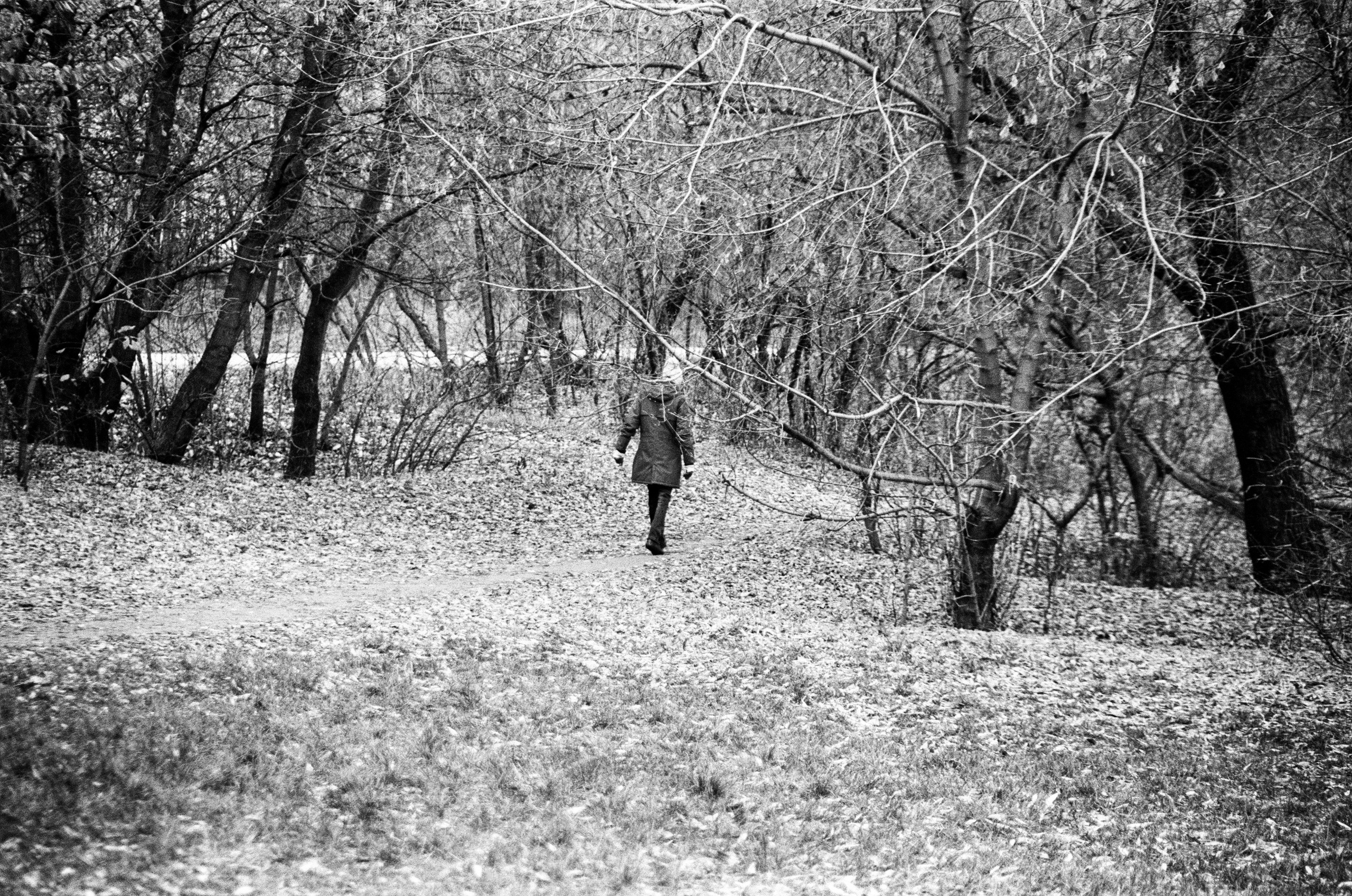 Nikon F80 — Voigtlander Ultron 28-105mm f2.8-3.8 / SFL T-42 ISO 400