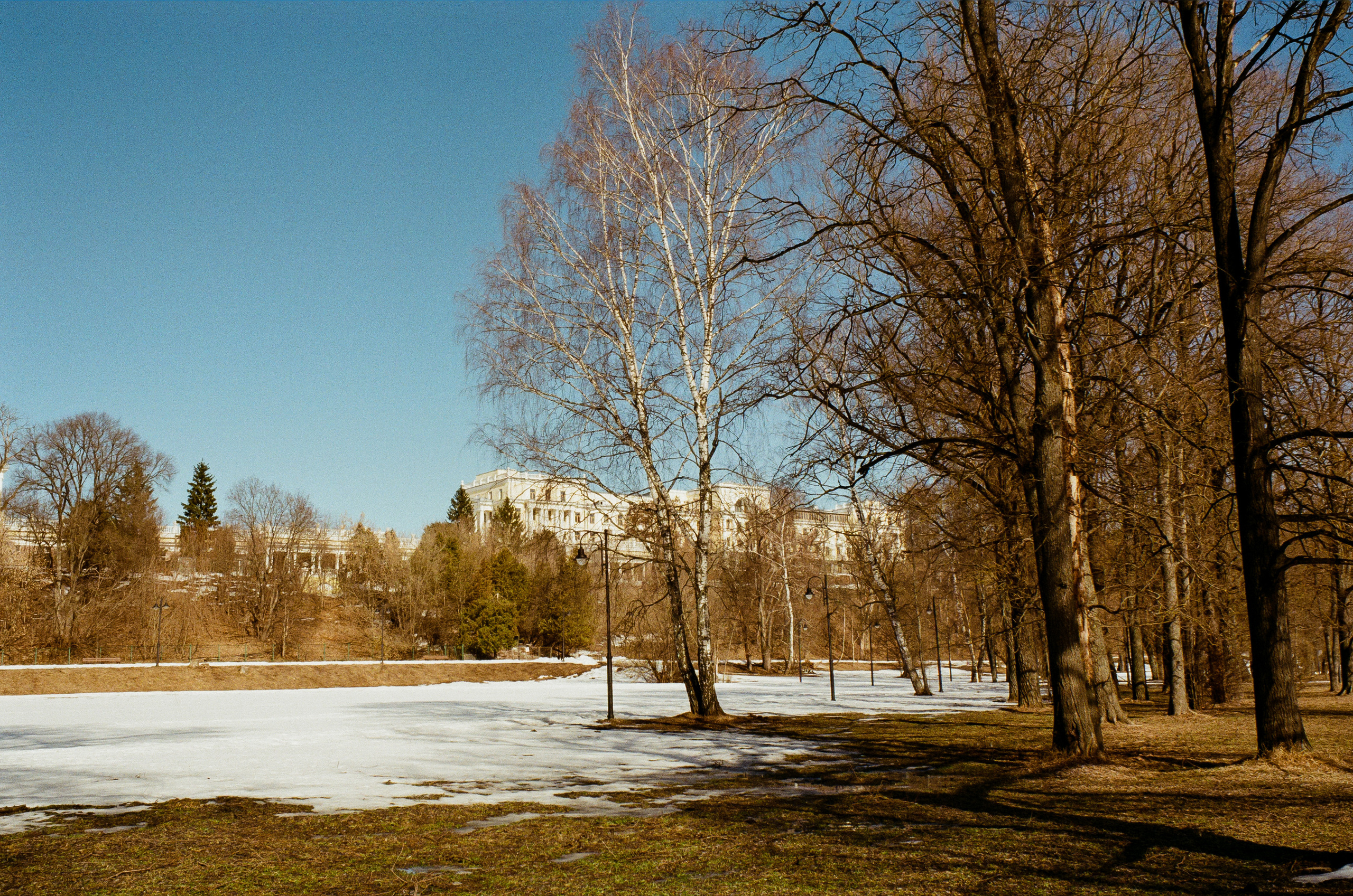 Kodak Ektar 100 / Contax N1