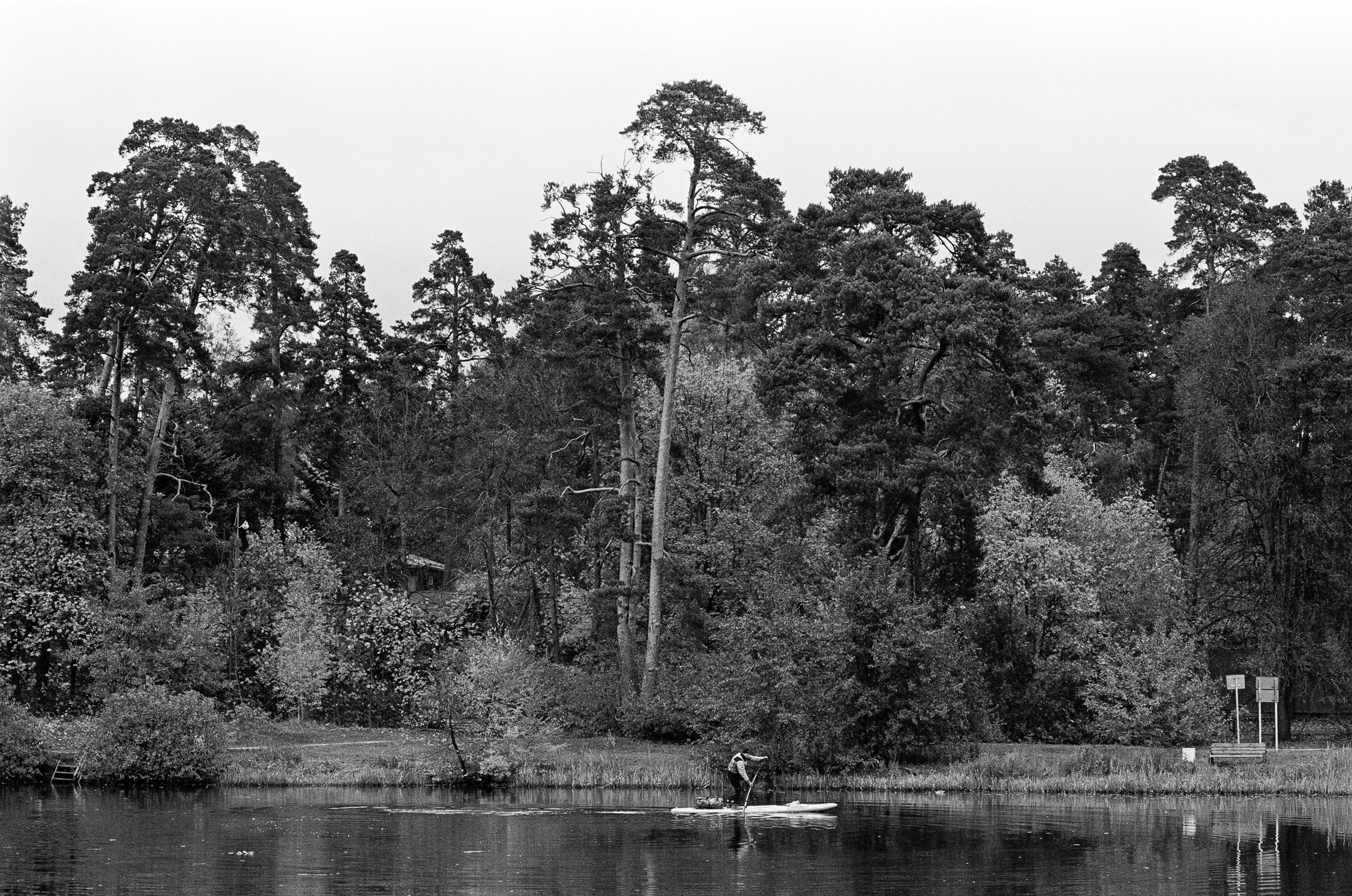 Minolta AF 85 mm f1.4 — Minolta Dynax 800si / Ilford HP5 Plus 400