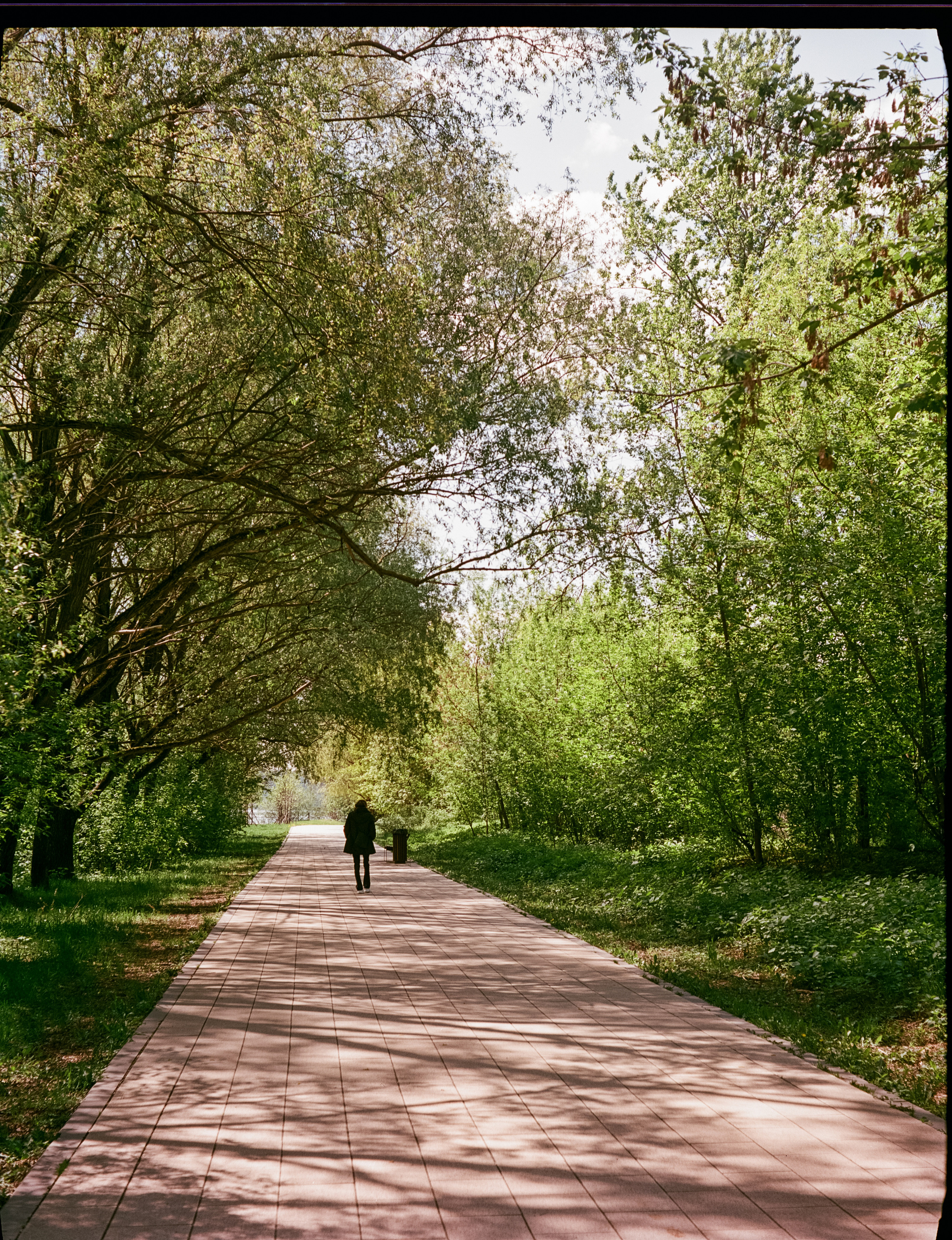 Kodak Aerocolor IV / Voightlander Bessa 46