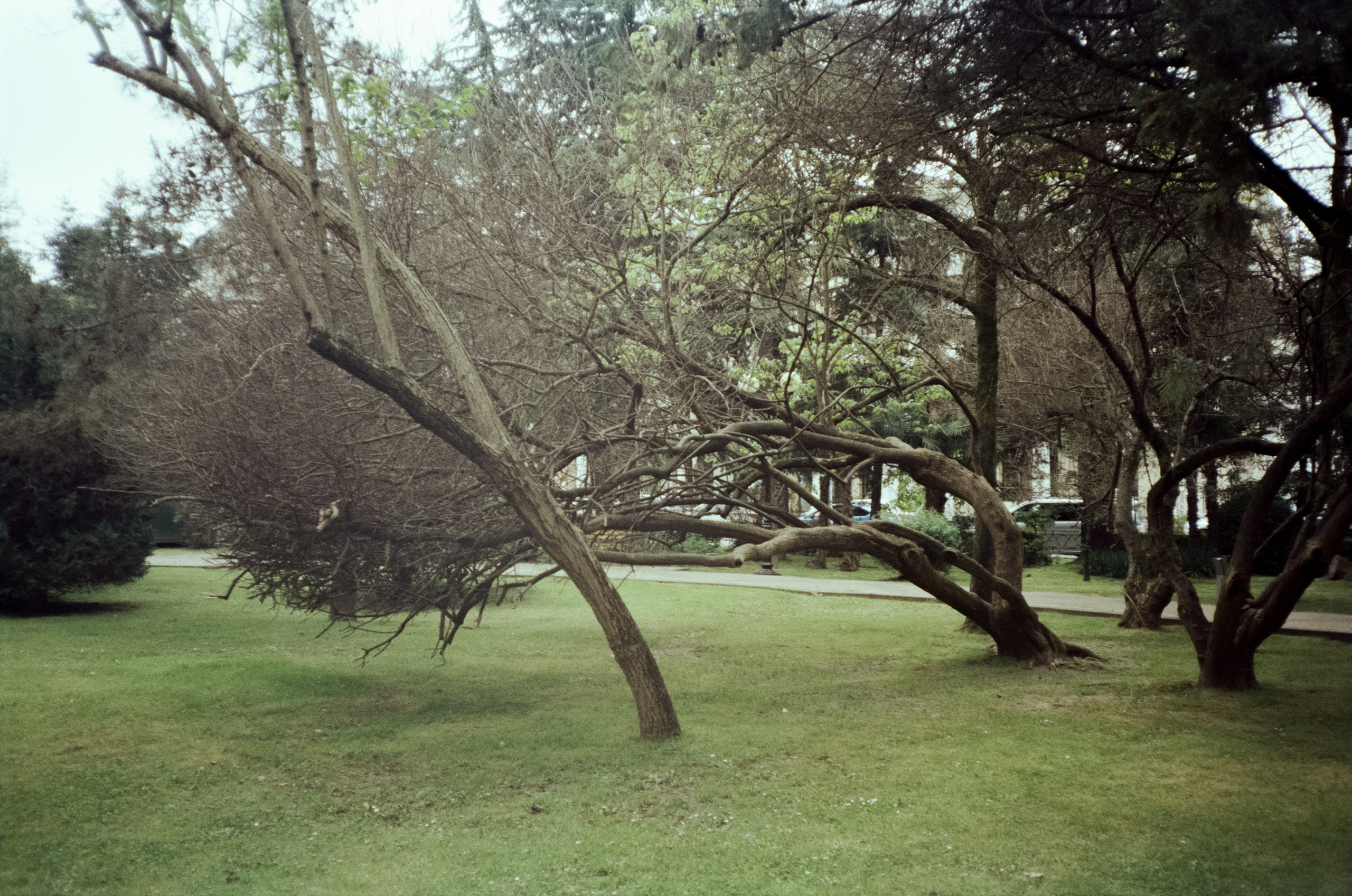 Комсомольский парк, Морской Порт Сочи — Revue 35 СС