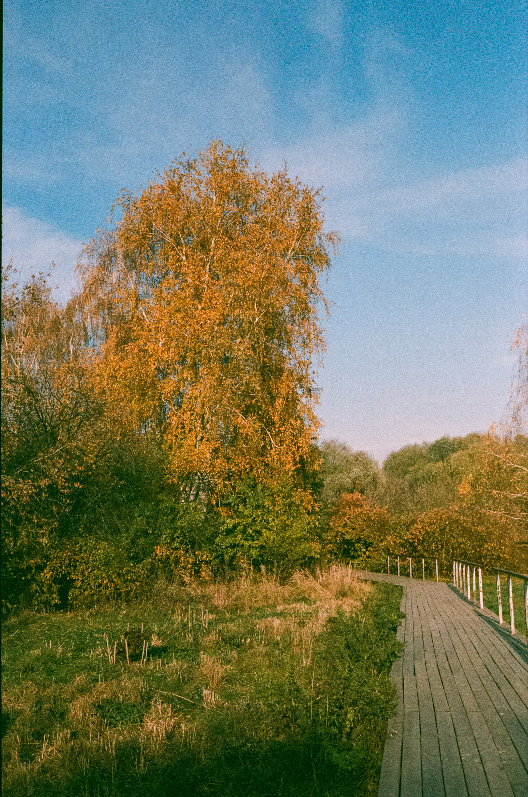 Minolta Hi-Matic 7sII review