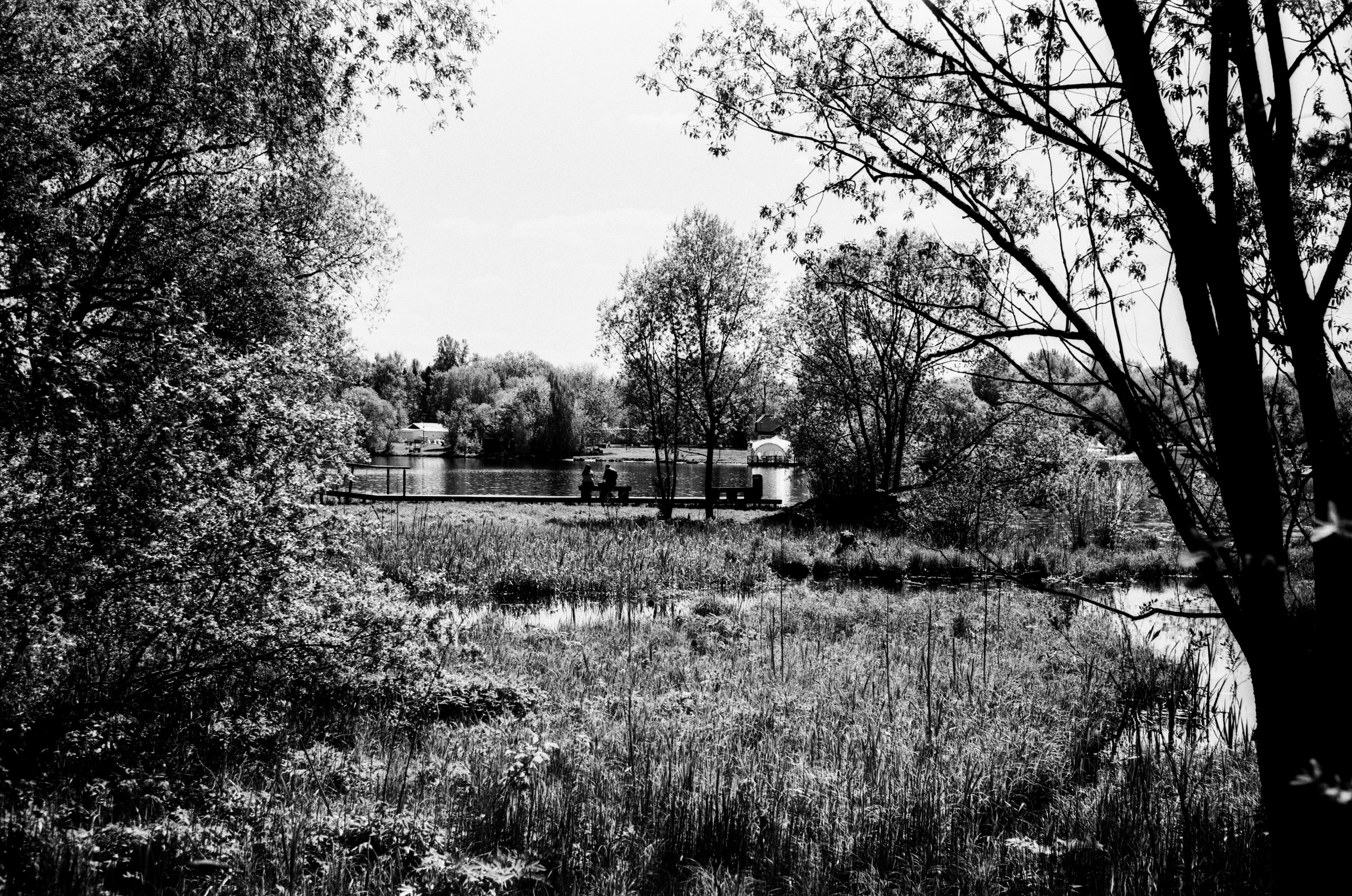 ADOX HR-50 обзор