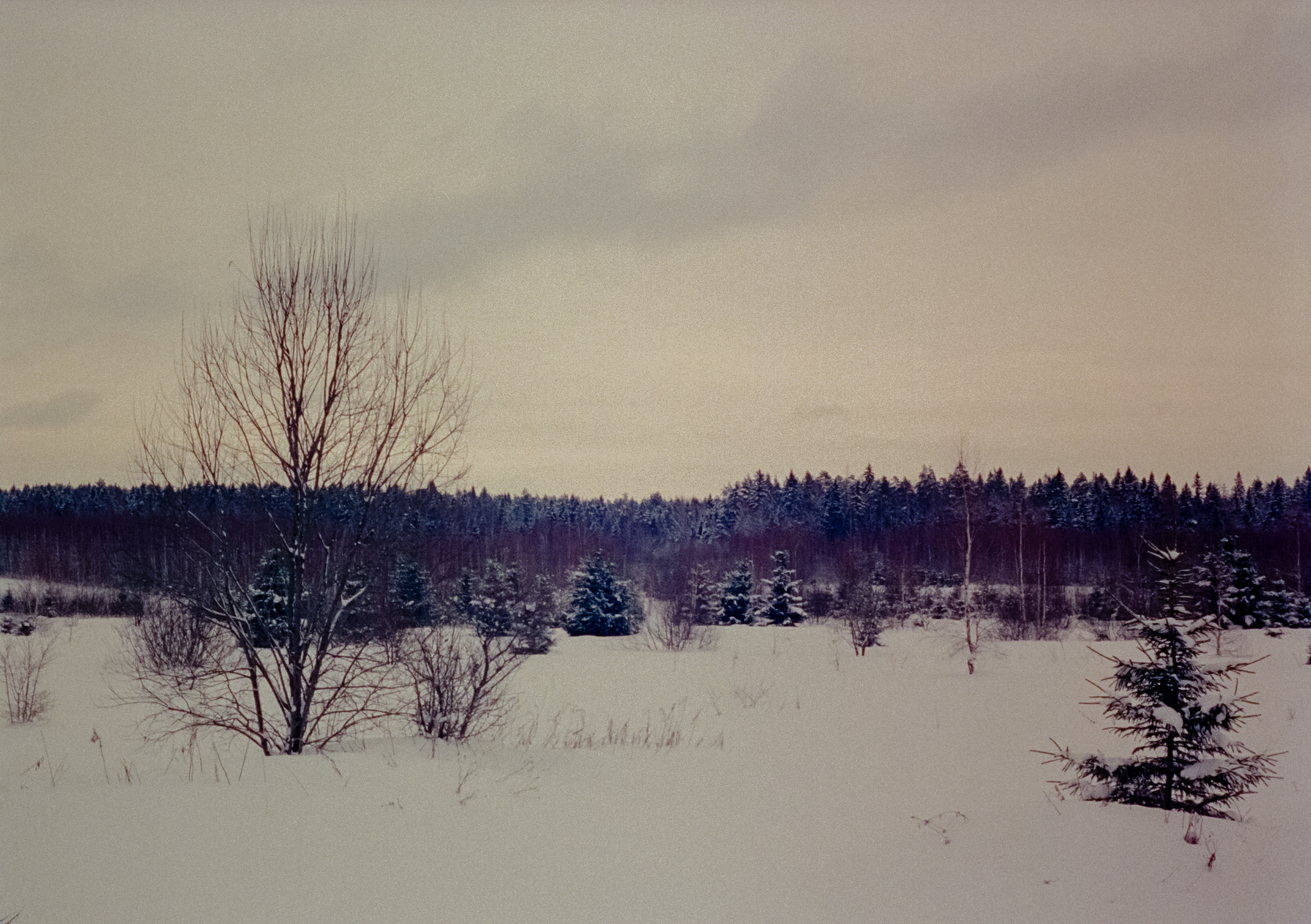 Olympus Pen EED / Kodak Vision 3 500T