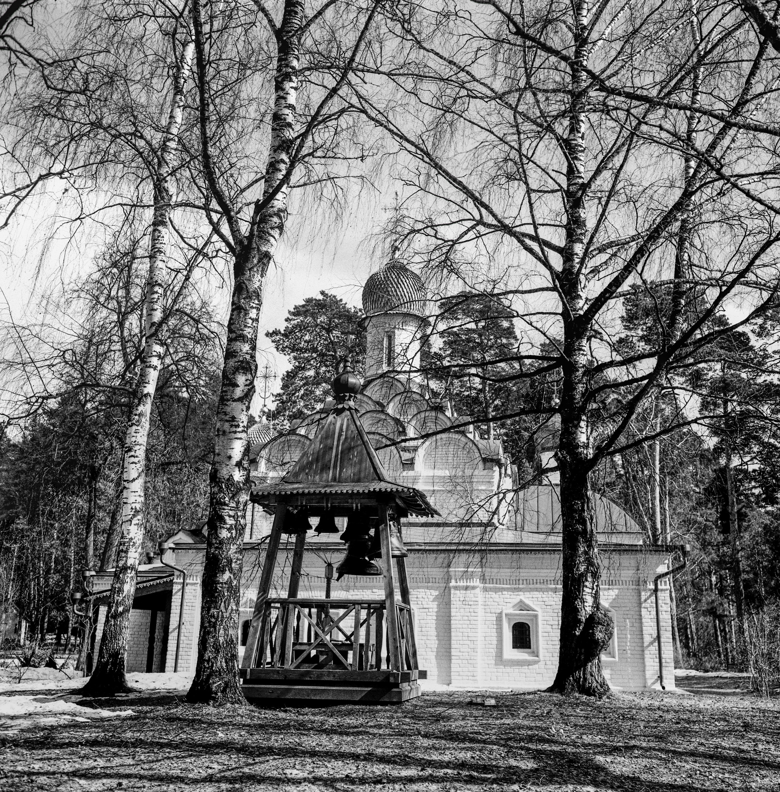 Minolta V2 / ТАСМА Тип-25