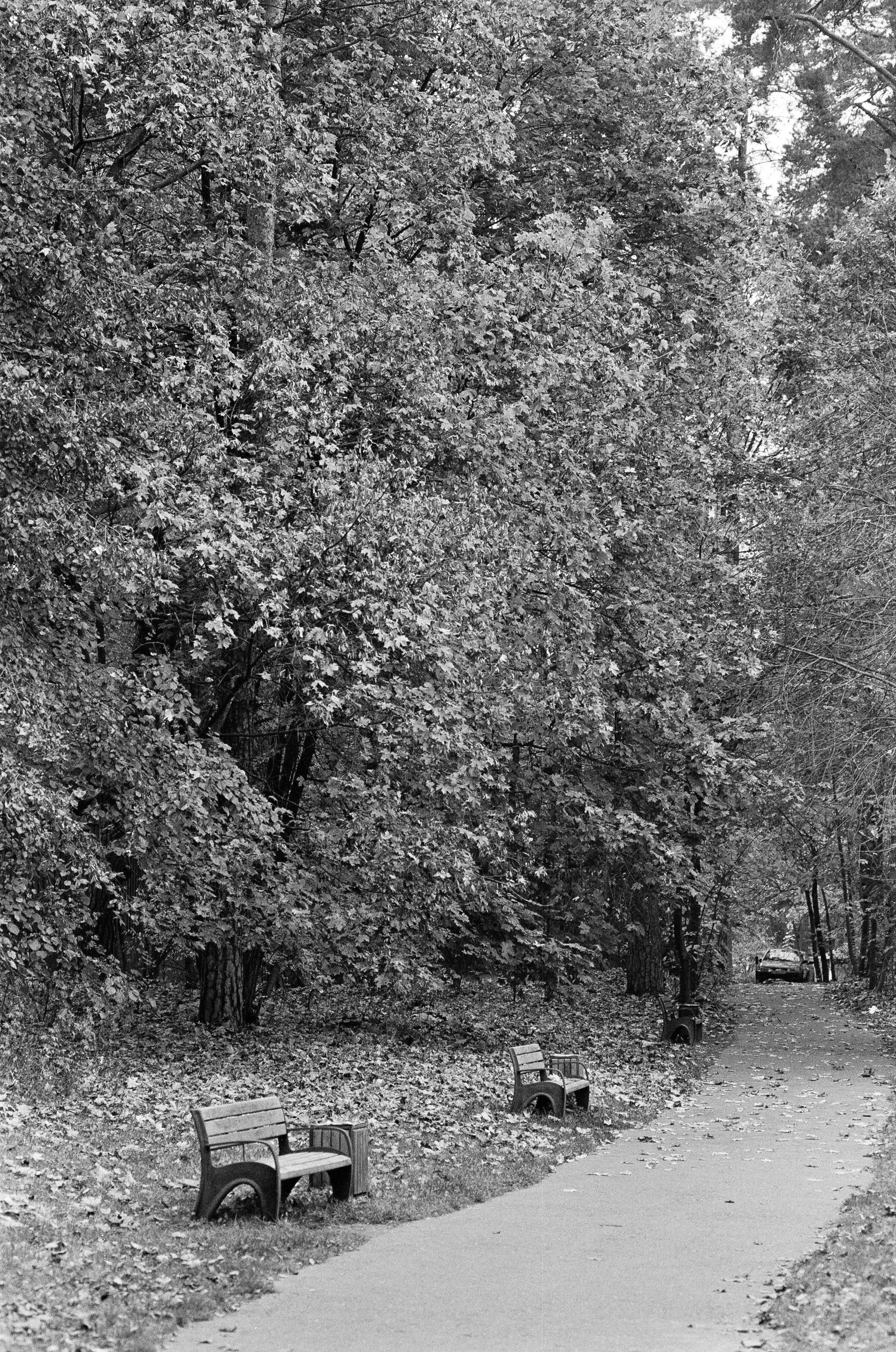 Minolta AF 85 mm f1.4 — Minolta Dynax 800si / Ilford HP5 Plus 400