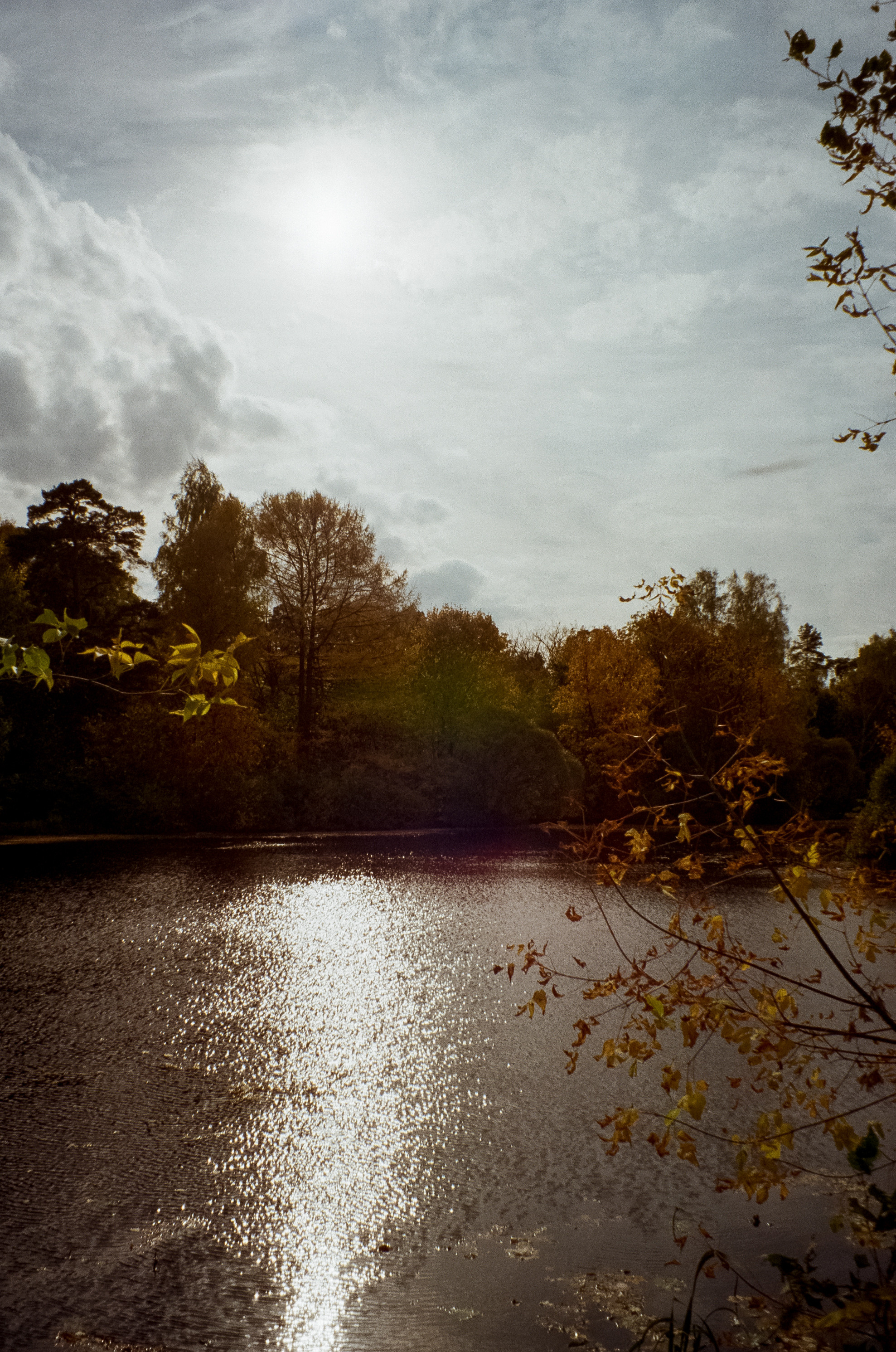 Осень на Kodak Gold 200
