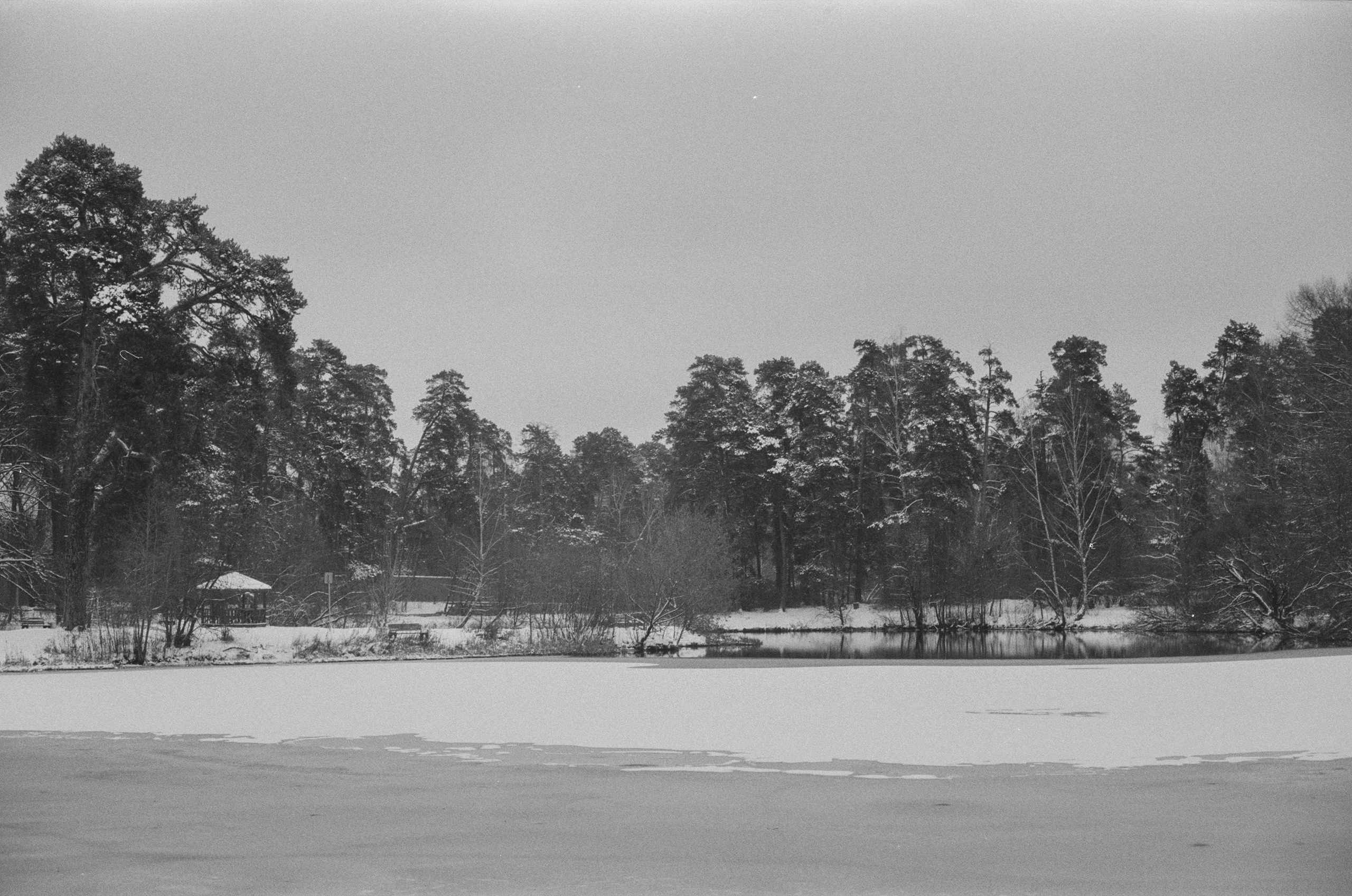 Konica III M / AgfaPhoto APX 400