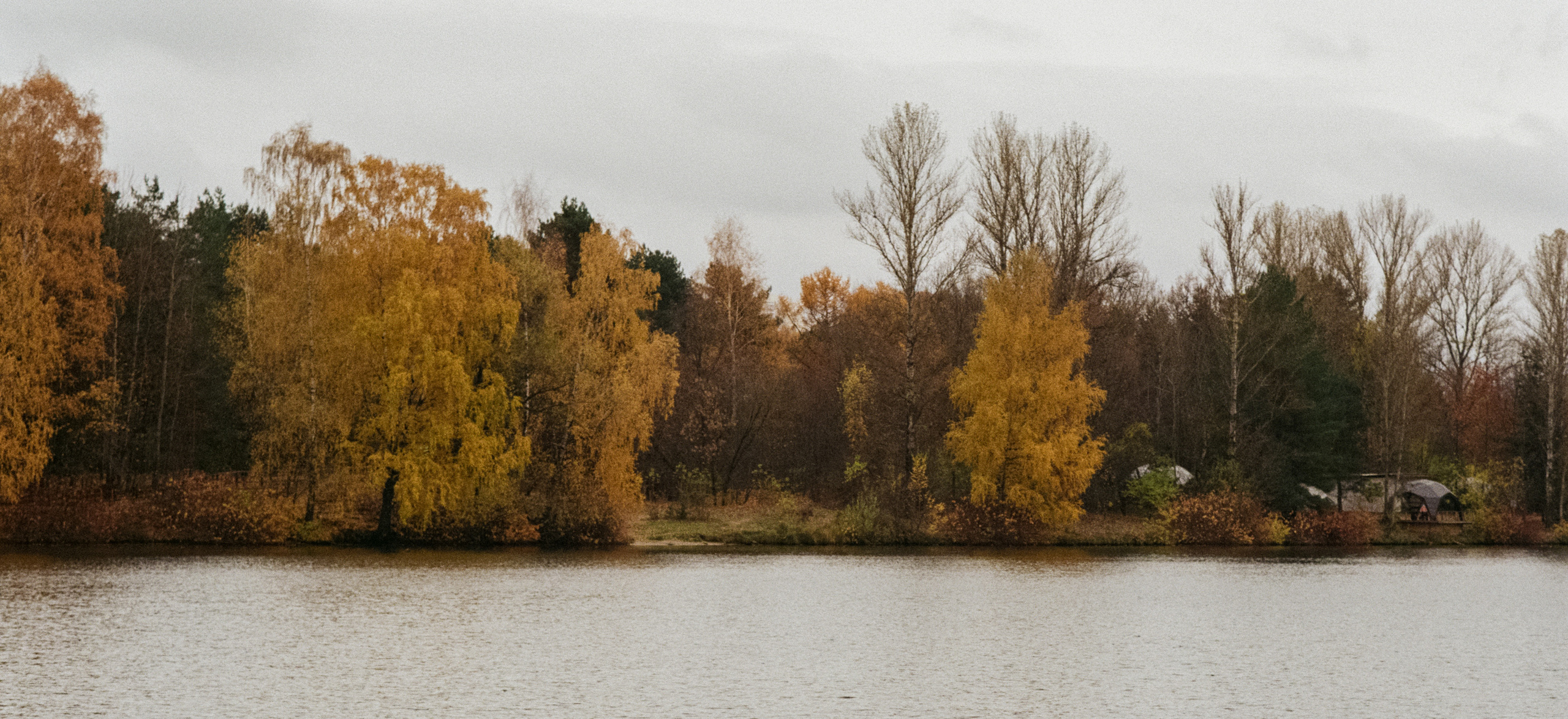 Московская осень на Kodak Gold 200