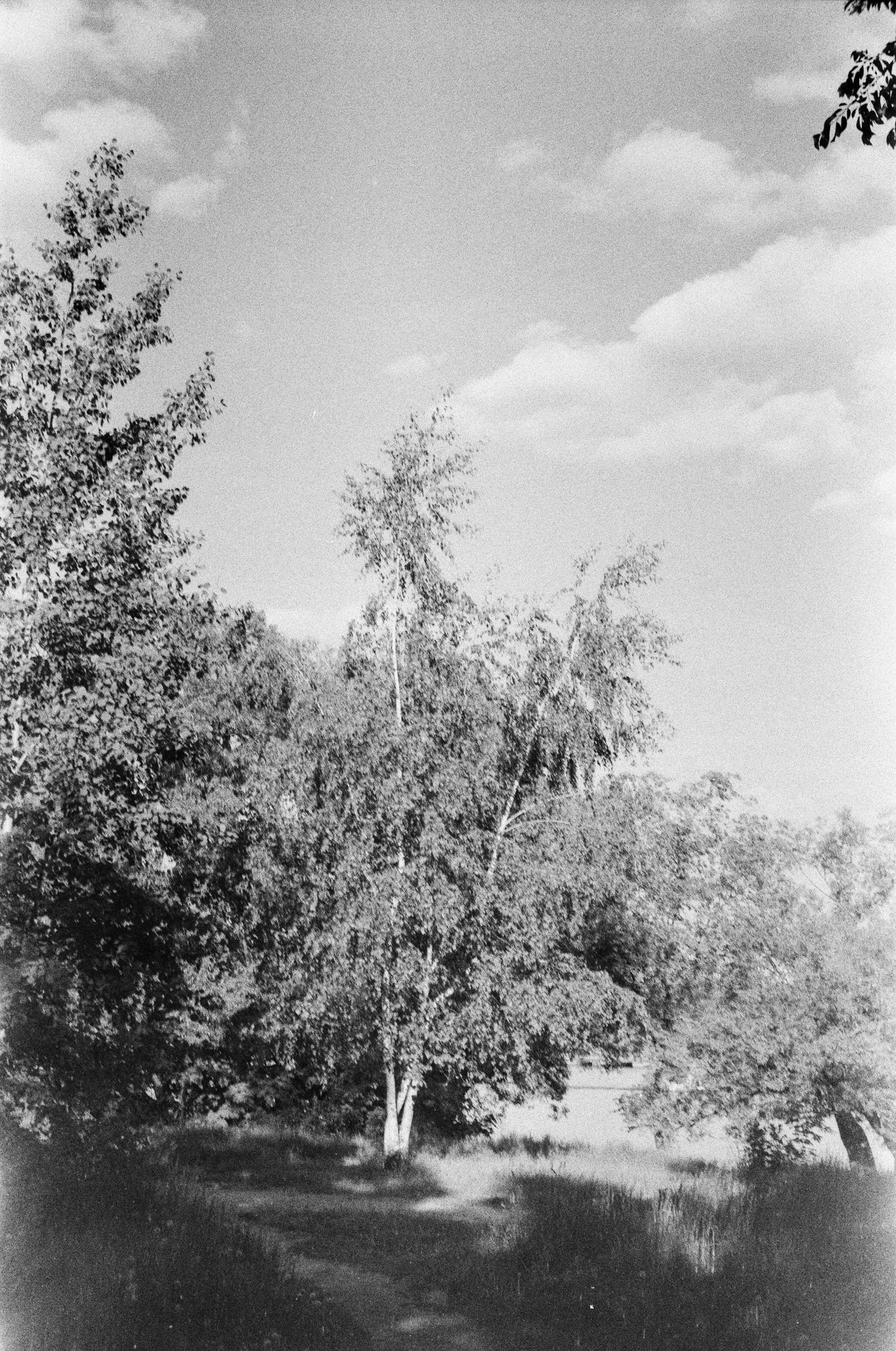 Welta Weltini - Schneider Xenon