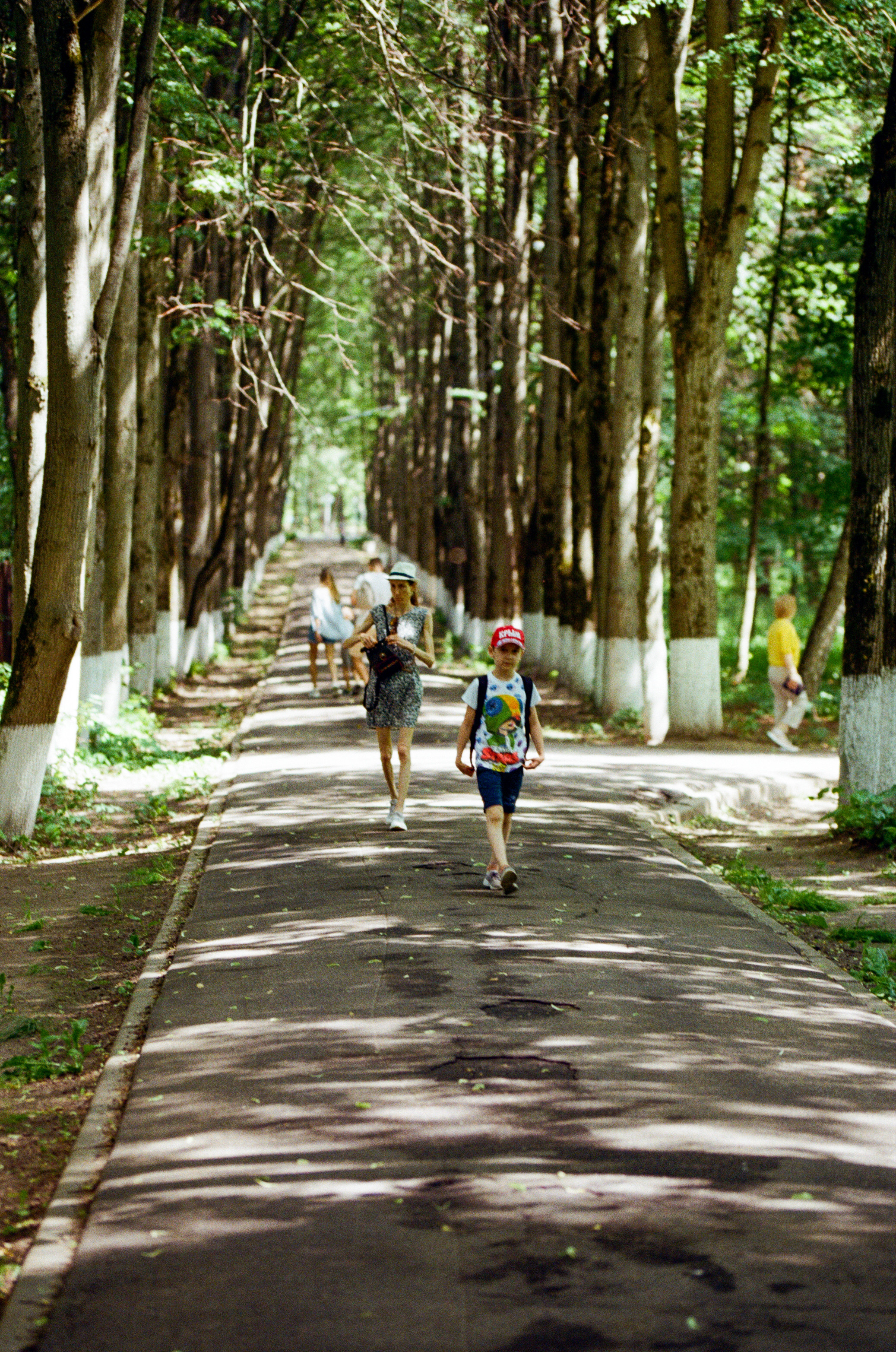 Carl Zeiss Makro-Sonnar 100mm f2.8