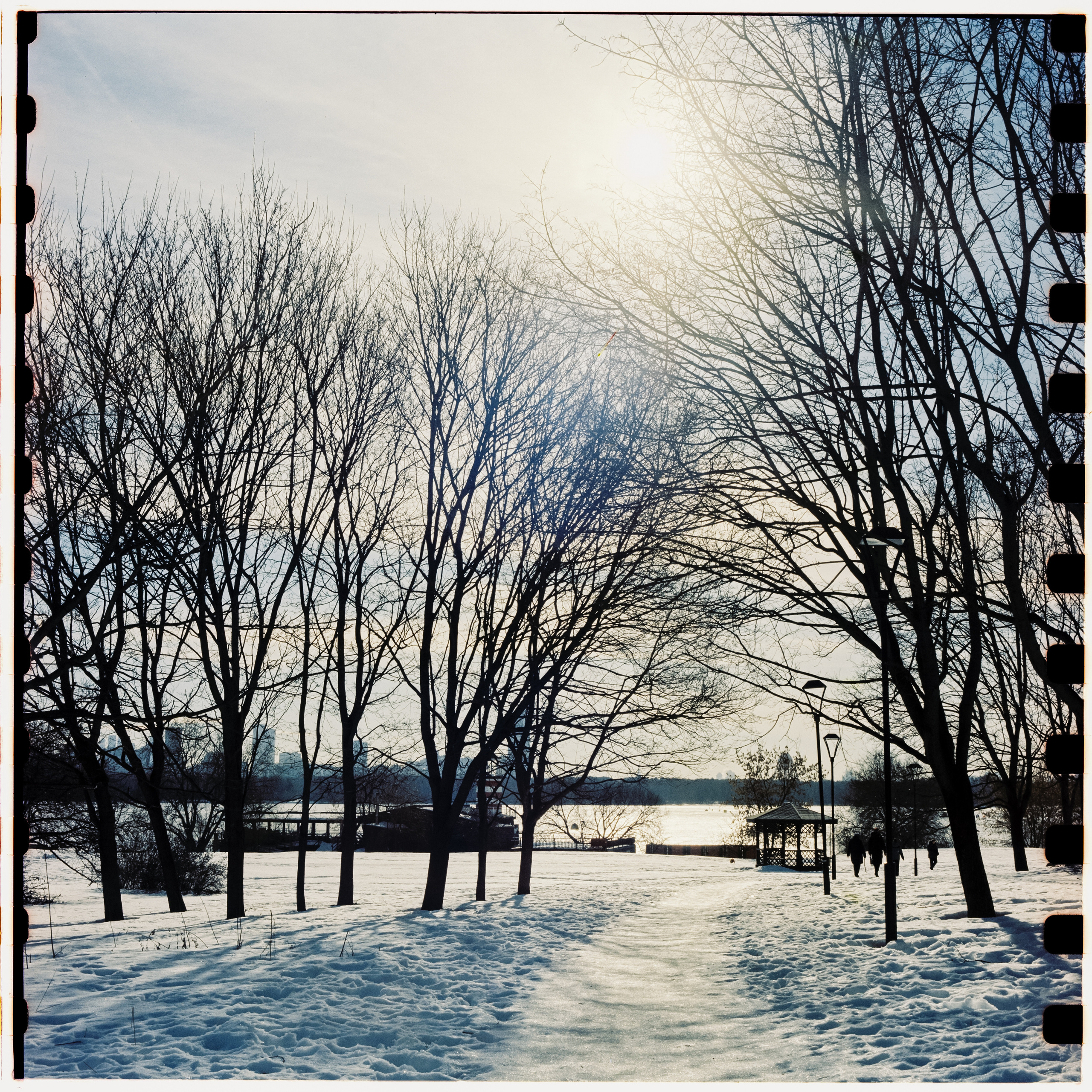 Kodak Vision 3 250D / Yashica Mat 124