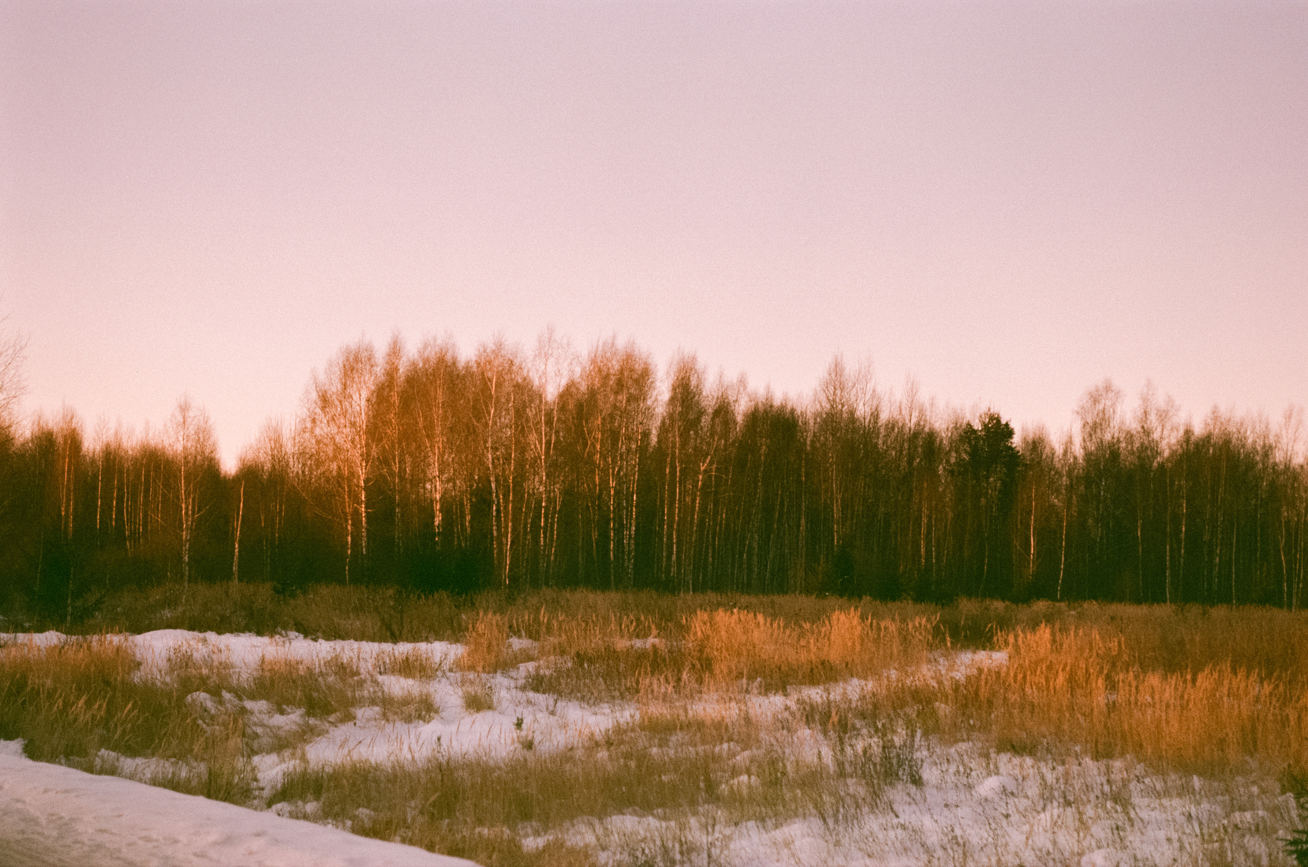 Закат на Konica Centuria Super 400