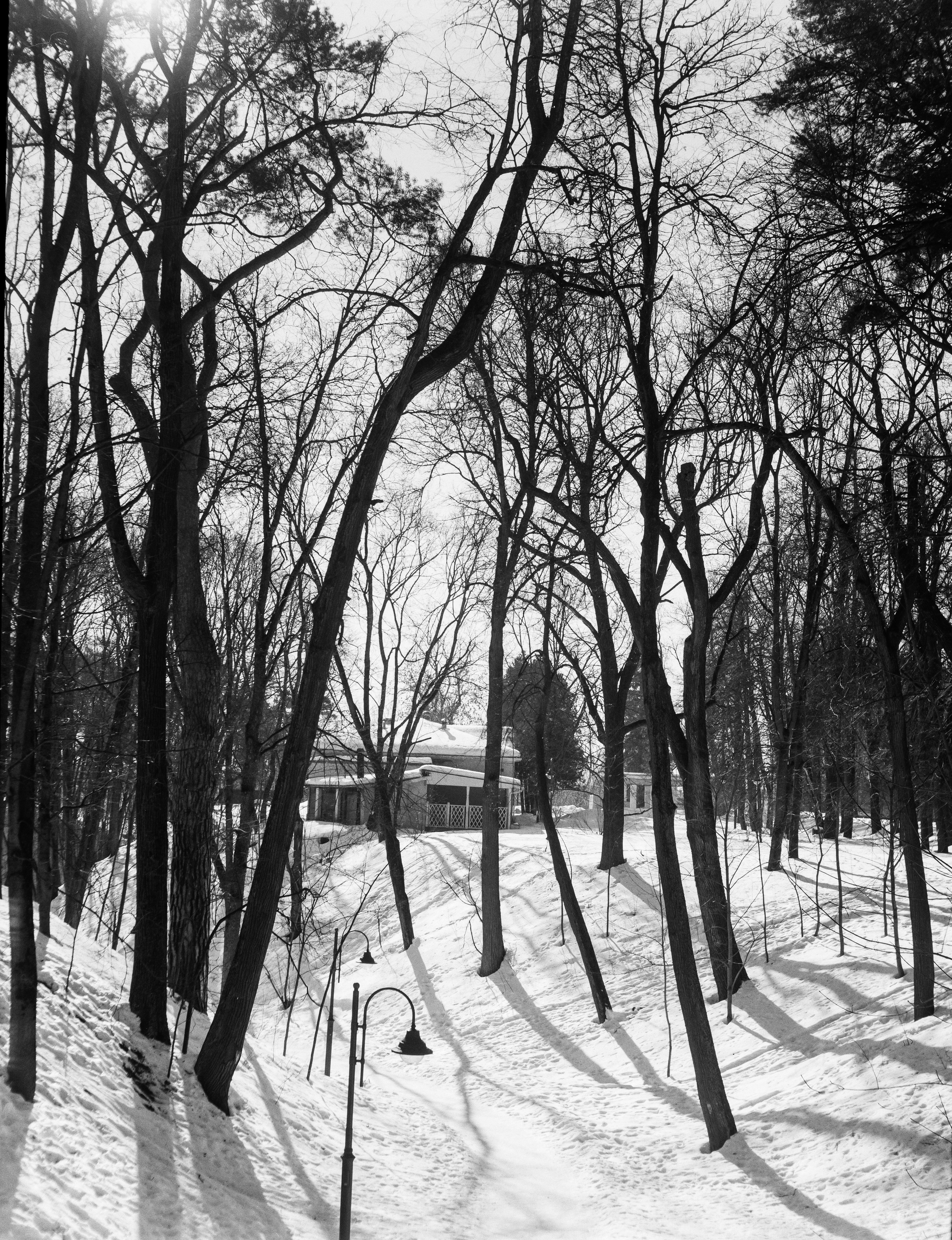 Ilford FP4 Plus ISO 125 / Zeiss Ikon Ikonta 521