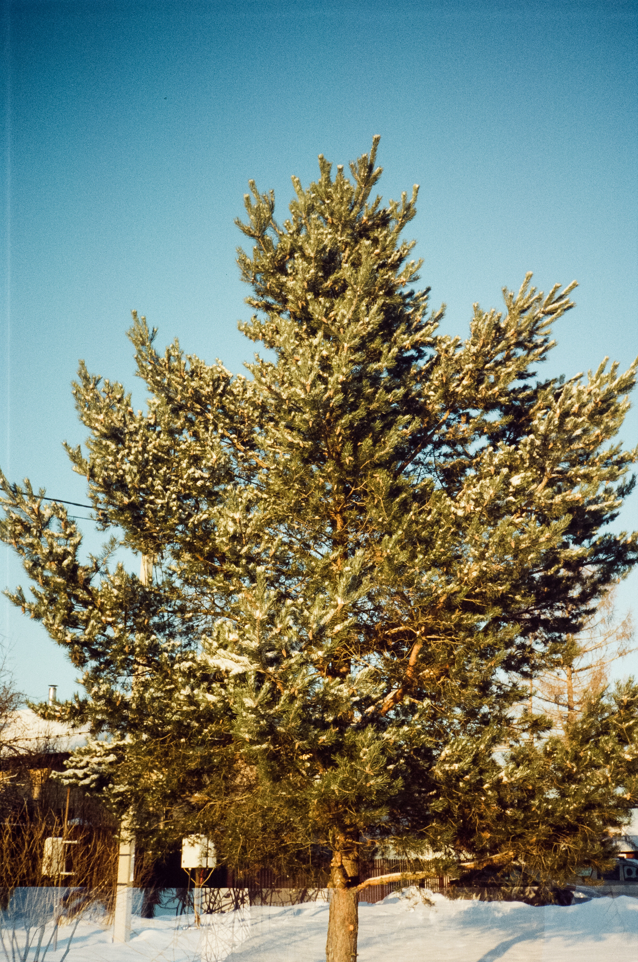 Kodak Vision 3 250D / Revue 35CC