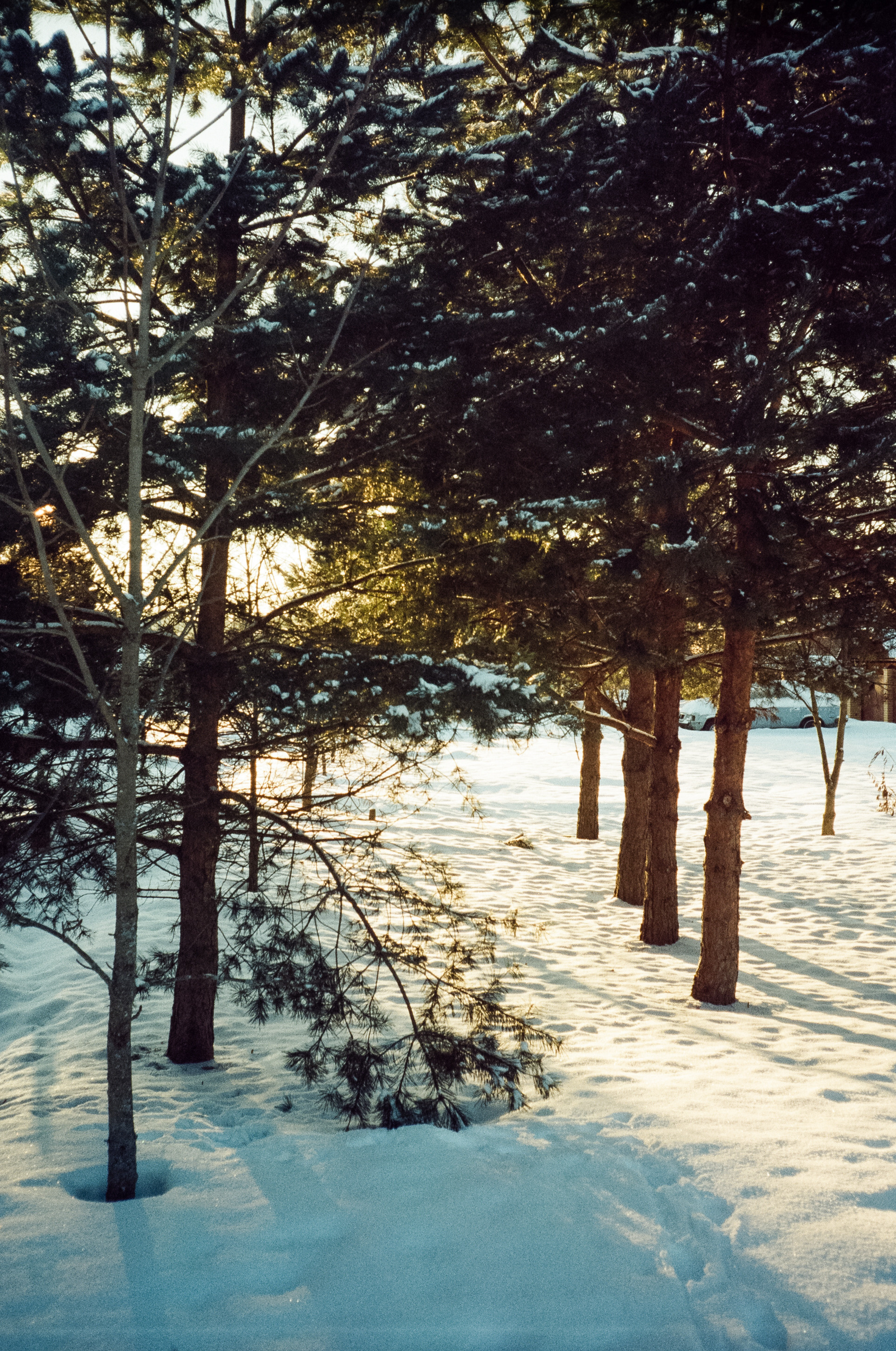 Kodak Vision 3 250D / Revue 35CC