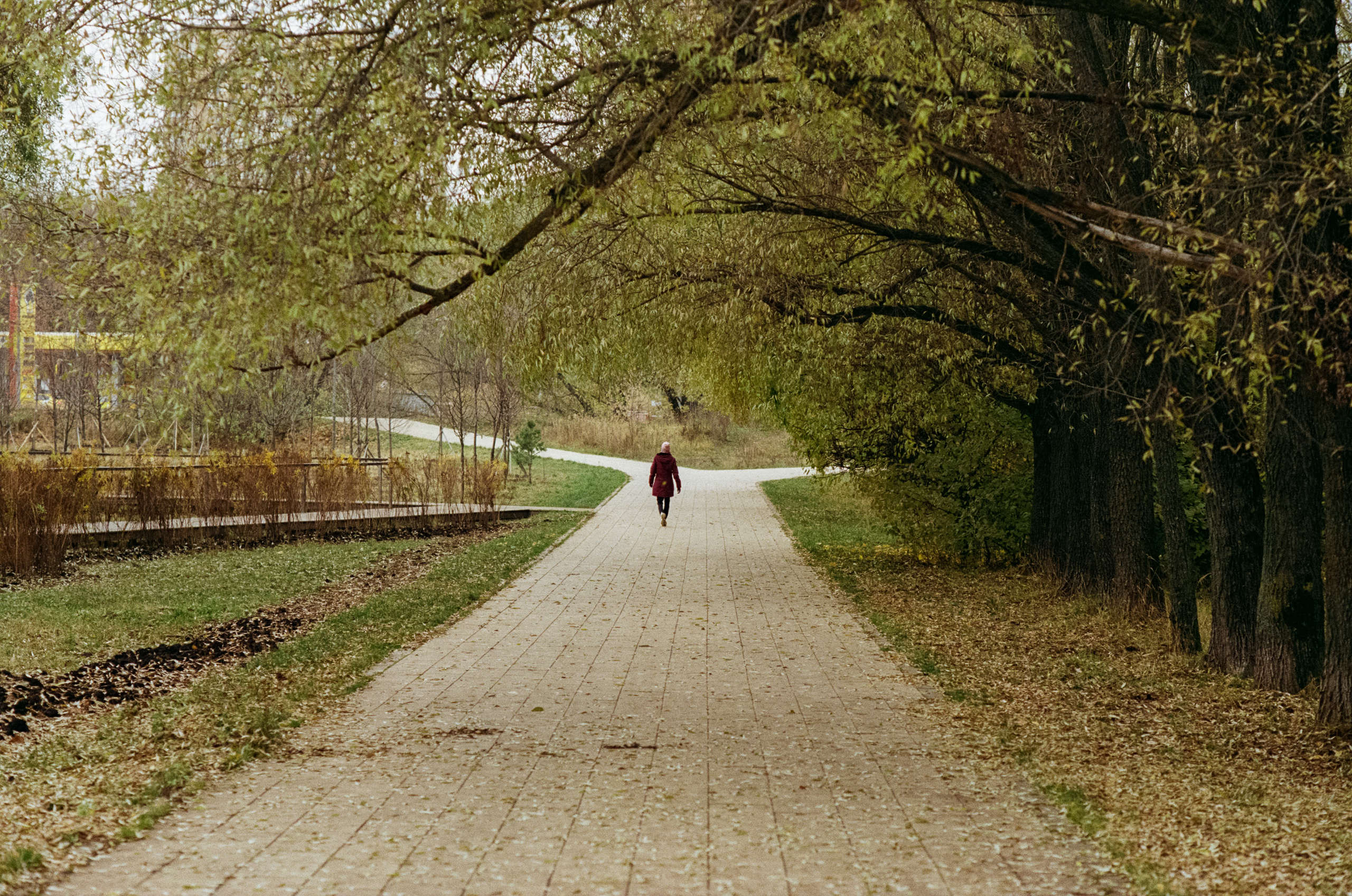 Московская осень на Kodak Gold 200