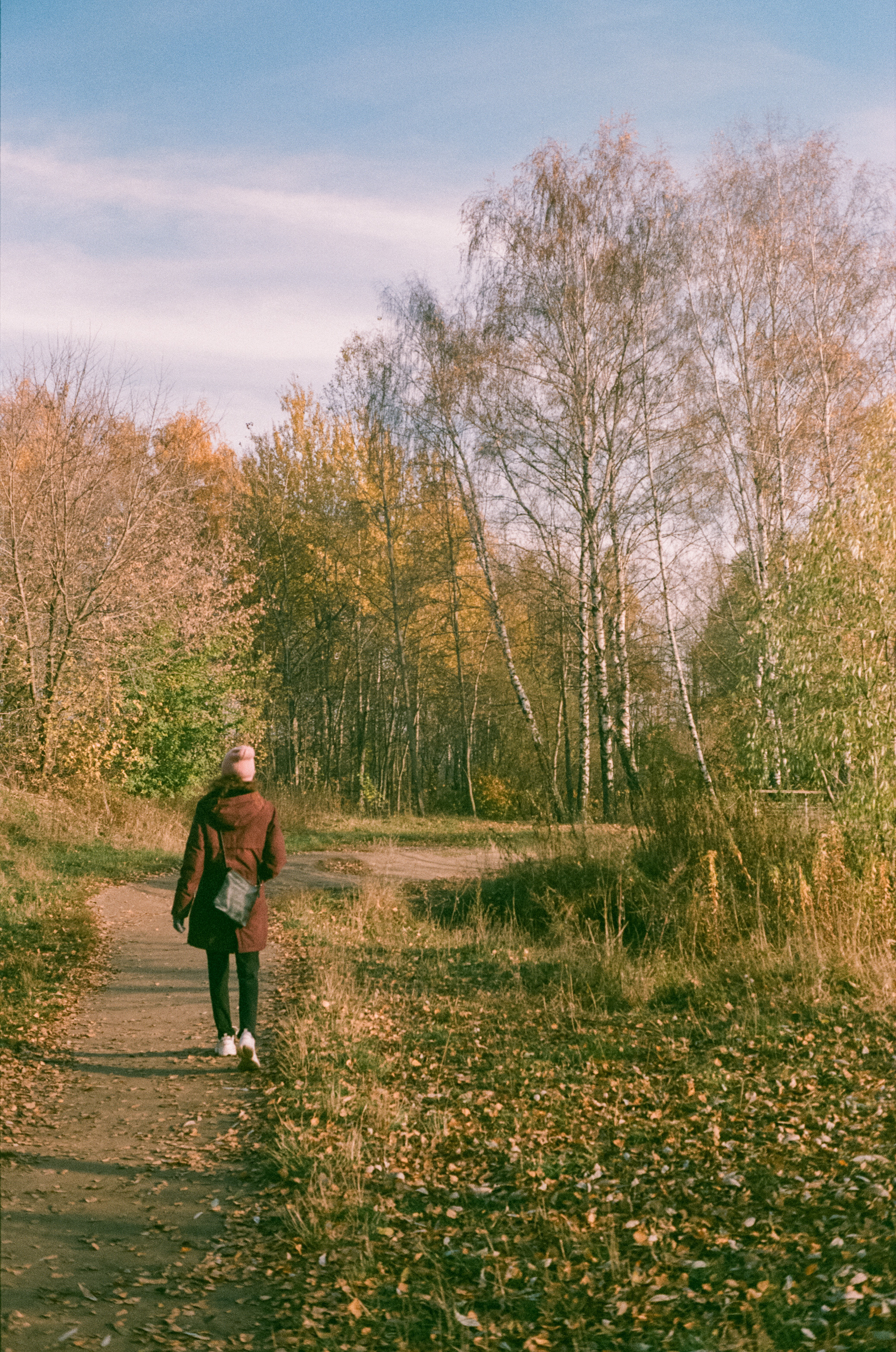 Konica Centuria Super ISO 400 примеры фотографий