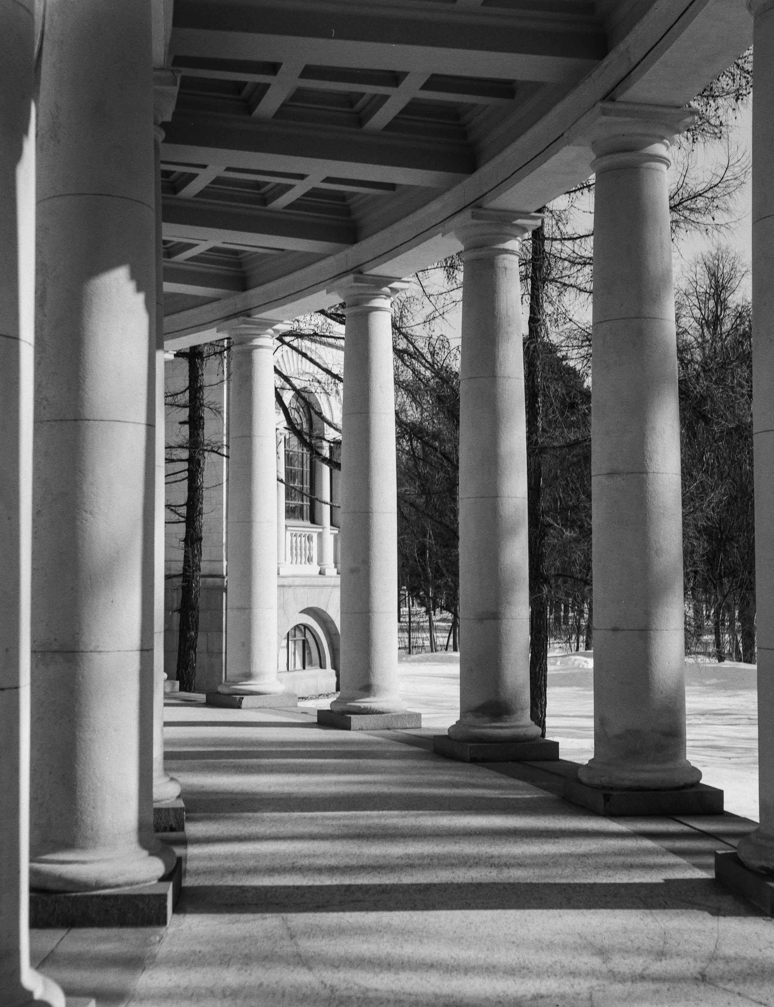 Ilford FP4 Plus ISO 125 / Zeiss Ikon Ikonta 521