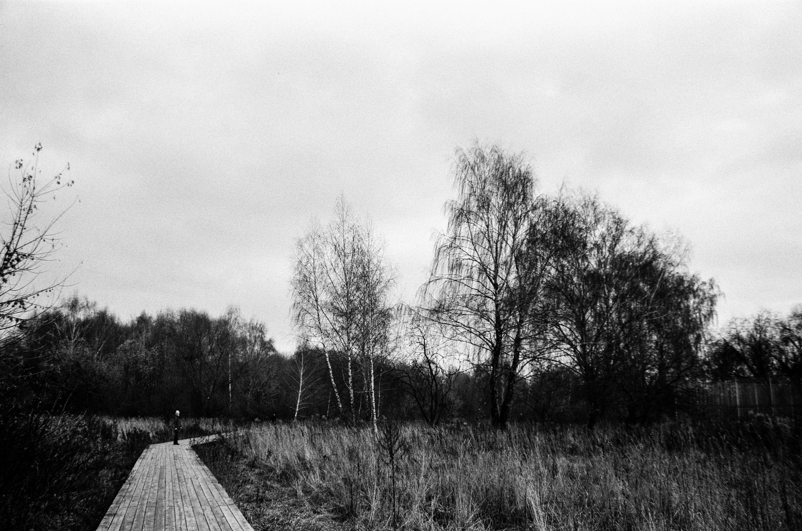 Nikon F80 — Voigtlander Ultron 28-105mm f2.8-3.8 / SFL T-42 ISO 400