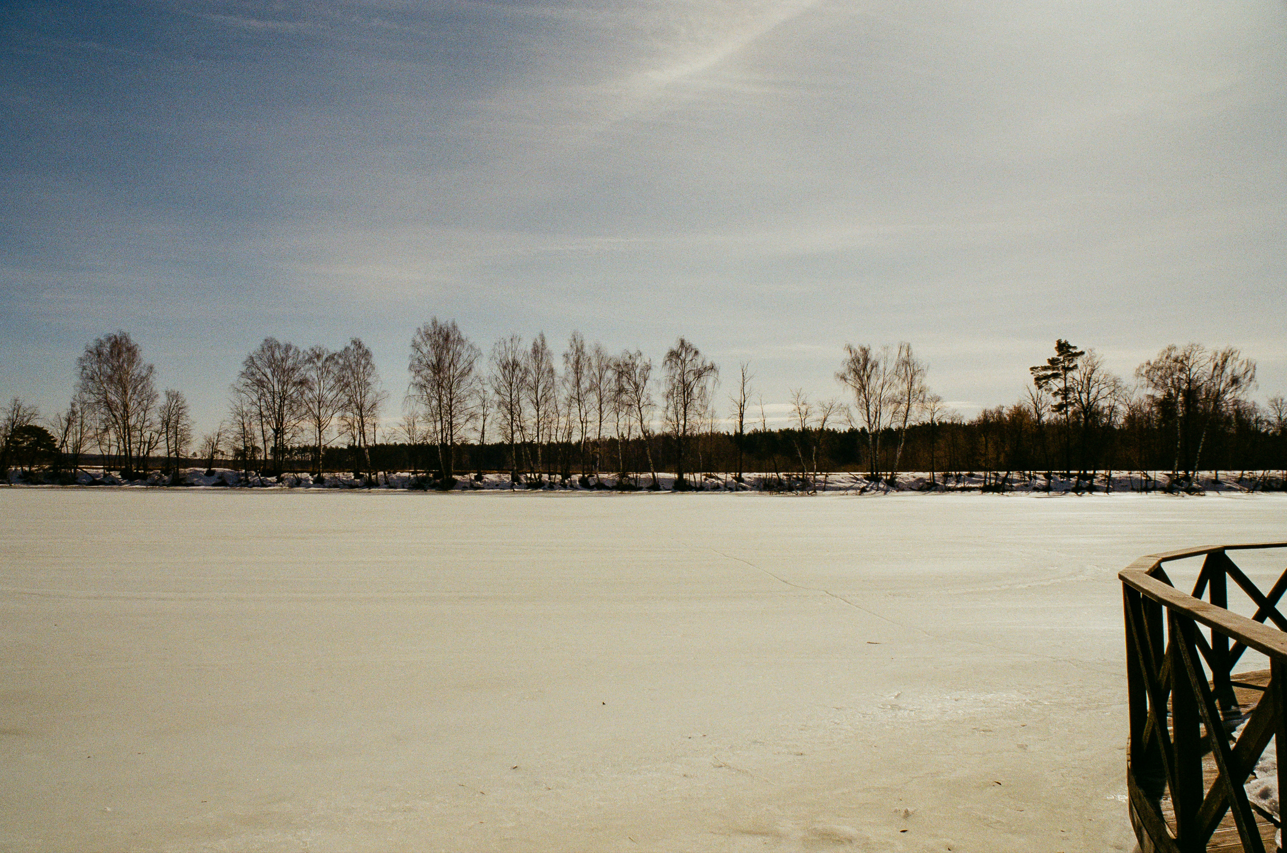 Kodak Ektar 100 / Contax N1