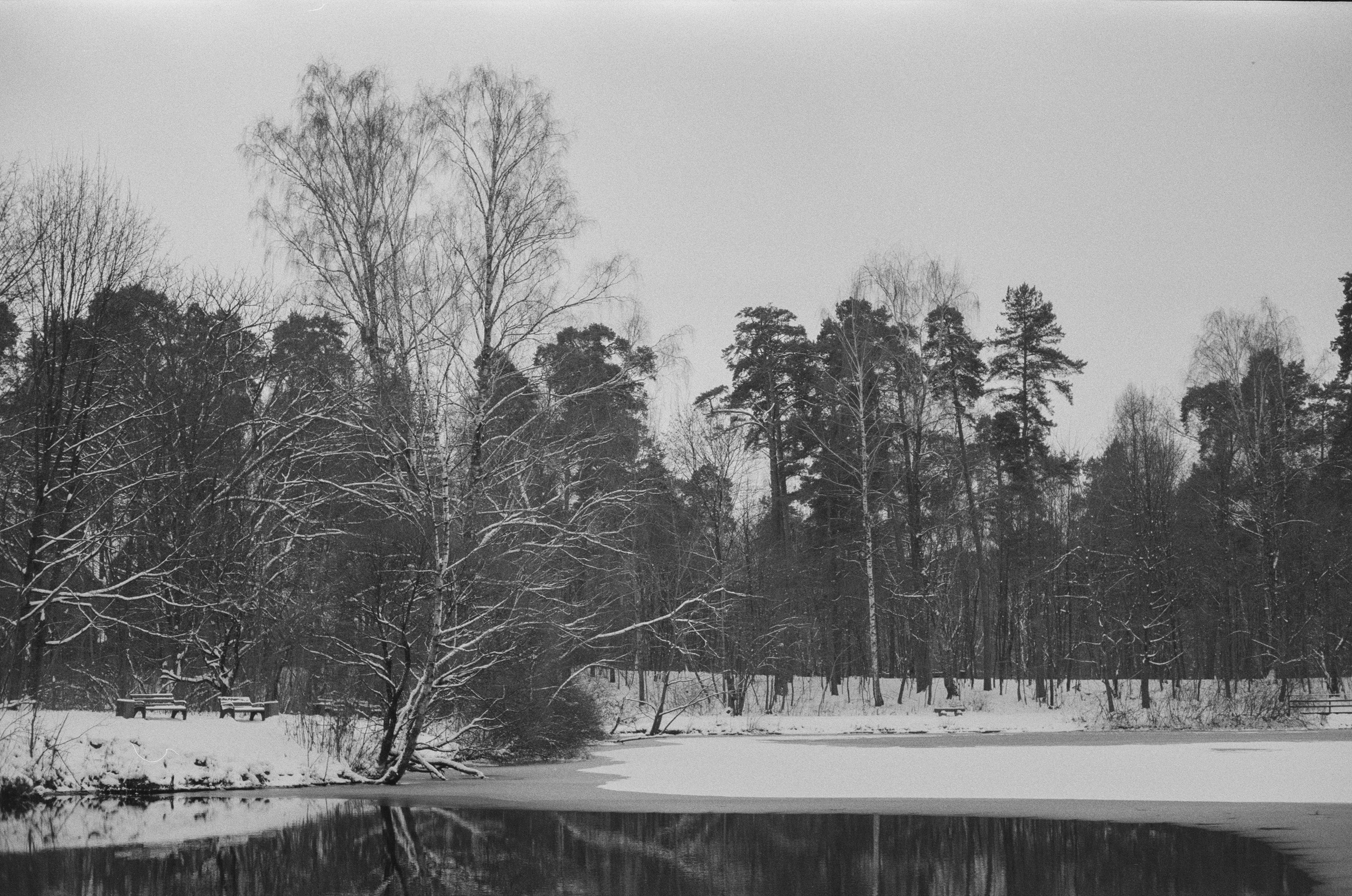 Konica III M / AgfaPhoto APX 400