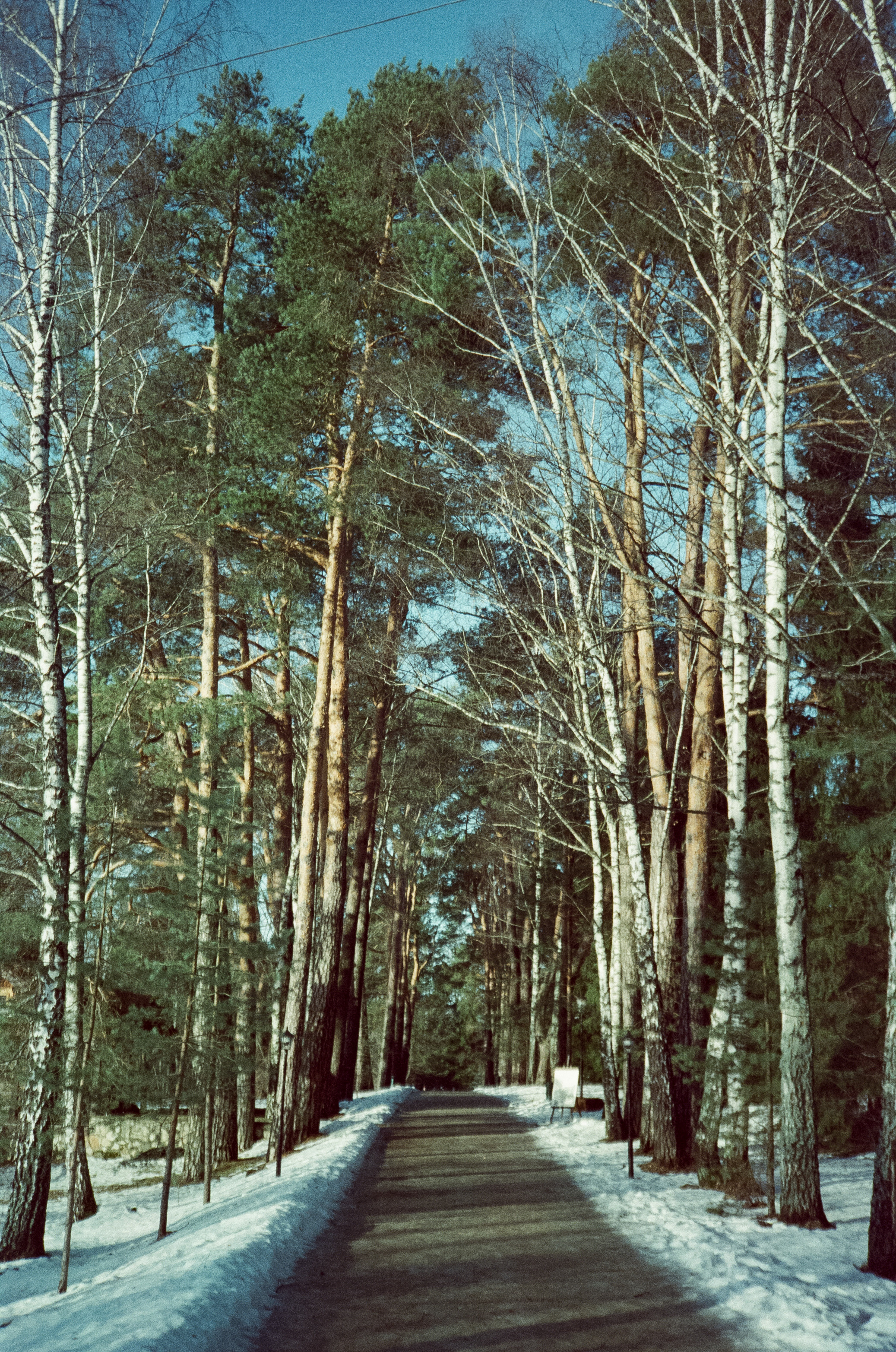 Примеры фотографий на Fuji DL-300 (Поленово)