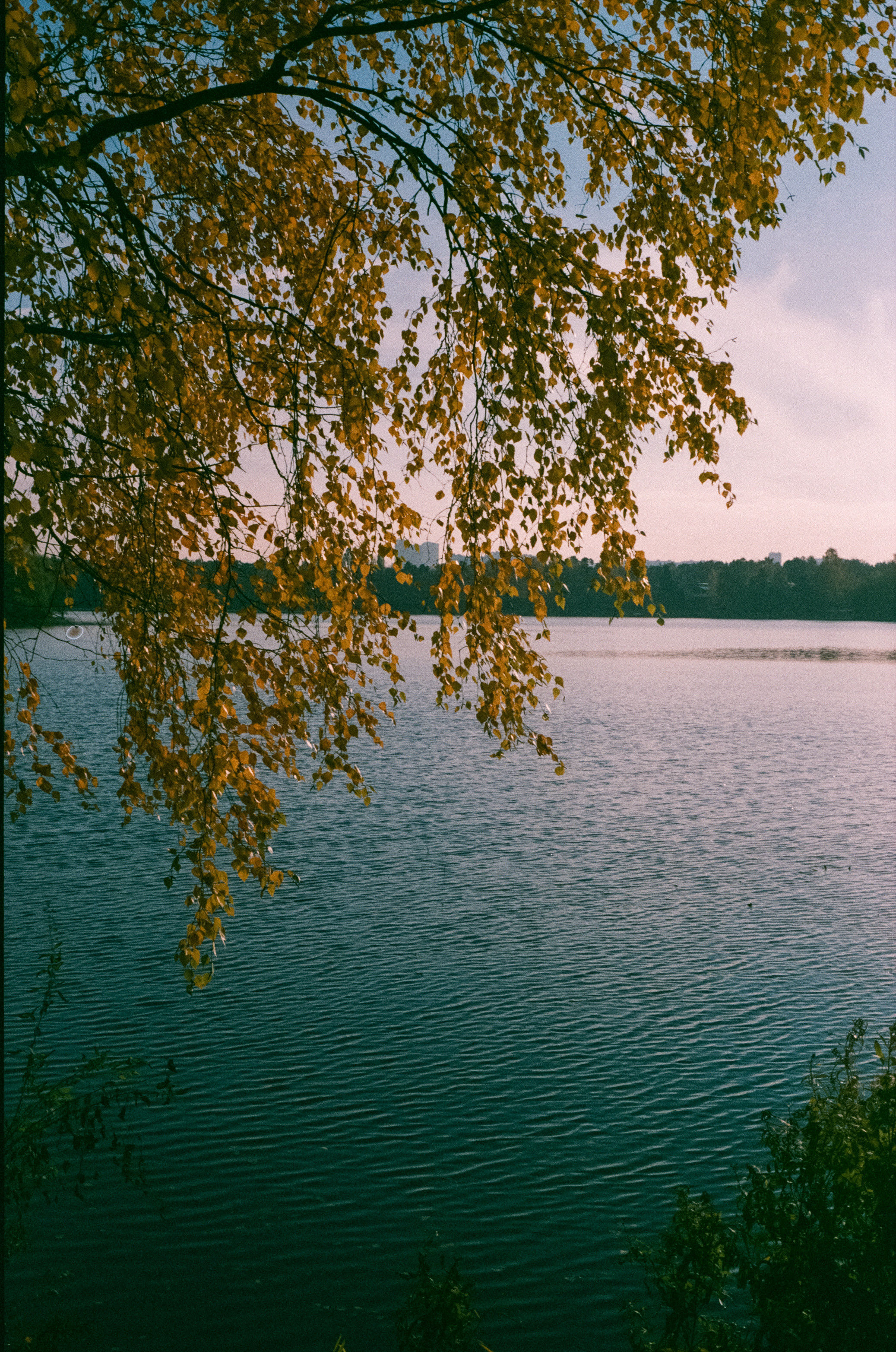 Konica Centuria Super ISO 400 примеры фотографий