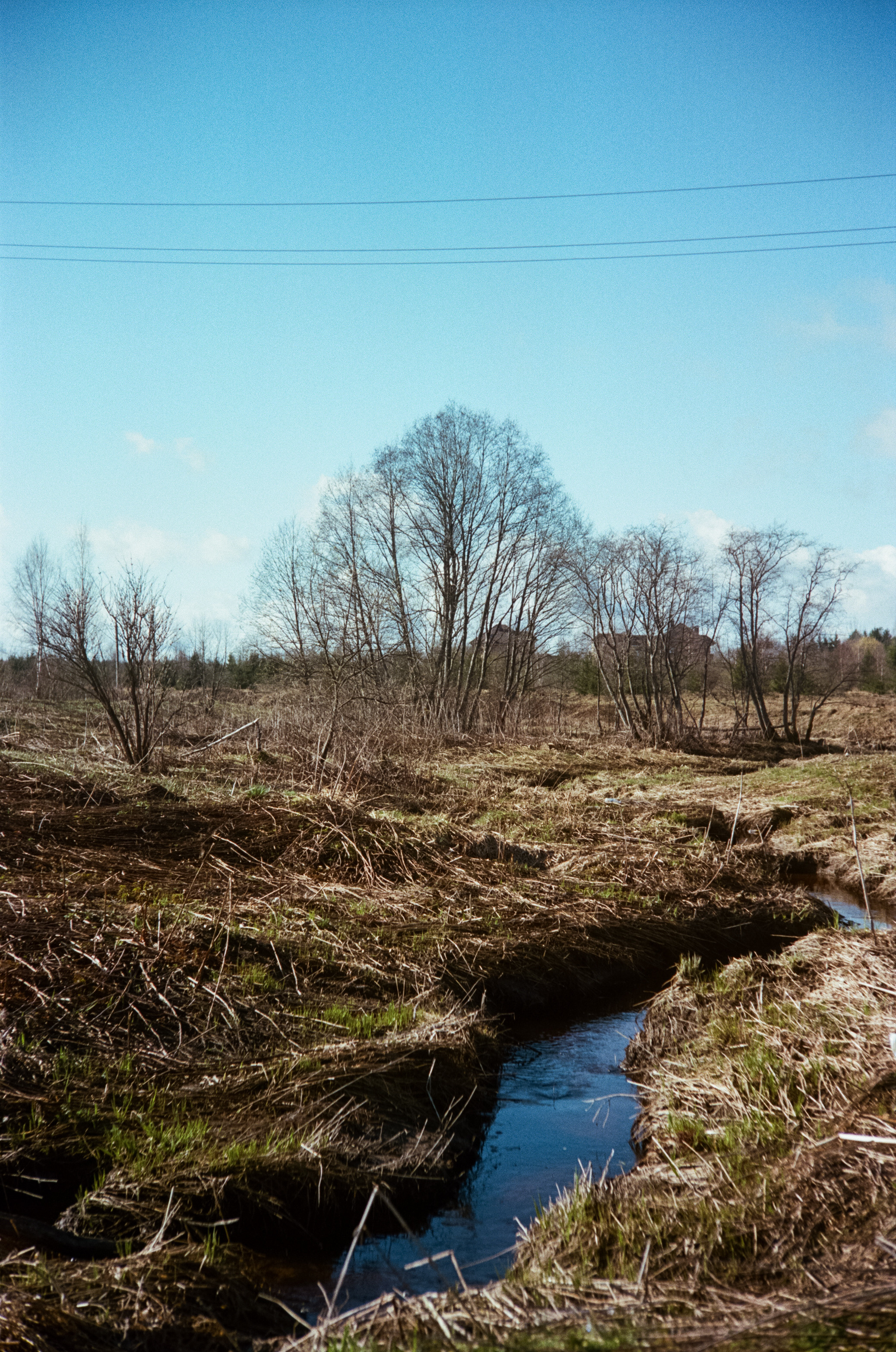 Kodak Portra 160 / Walz Envoy 35