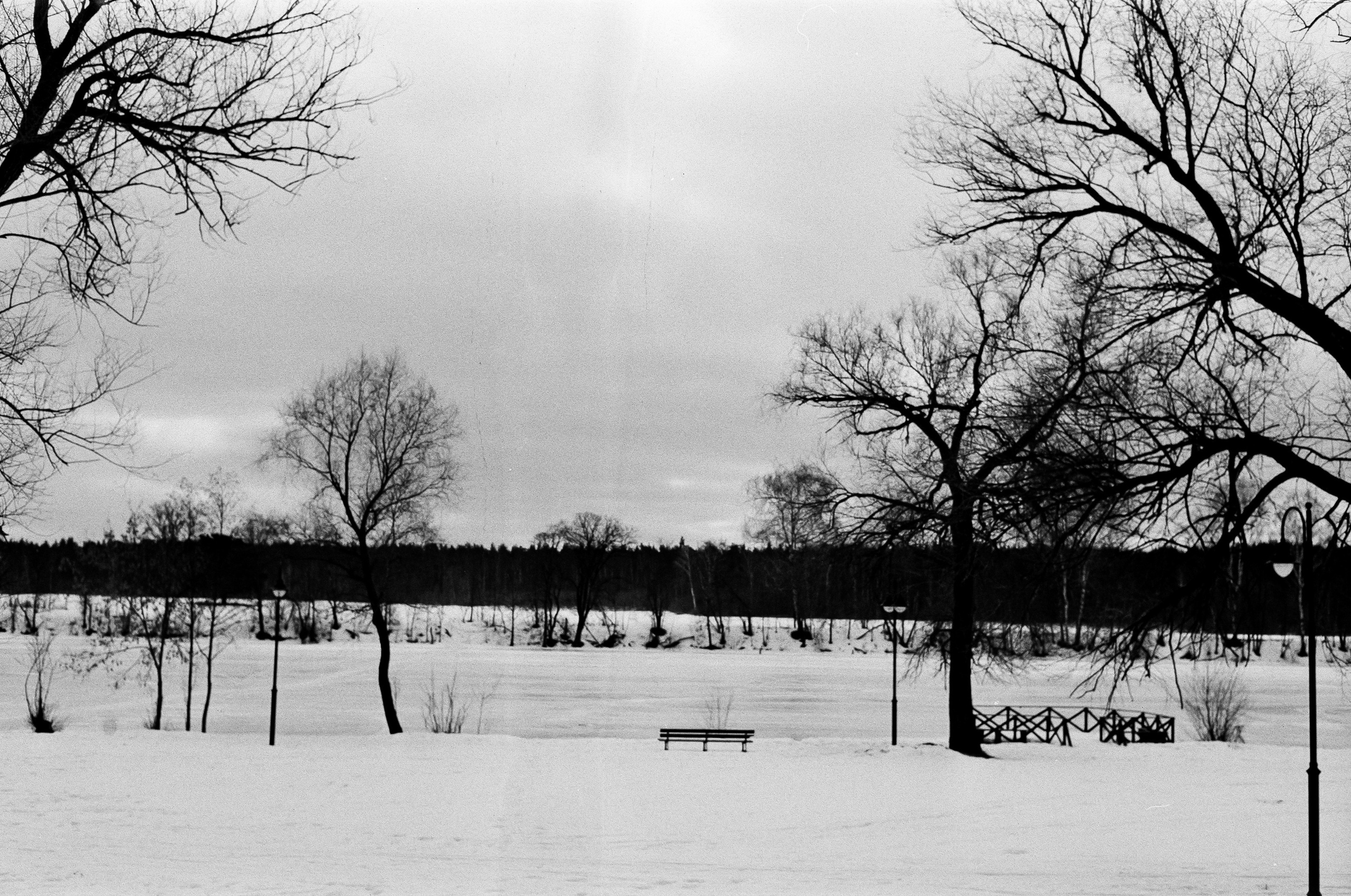 Retina Xenon C 50mm f2.0