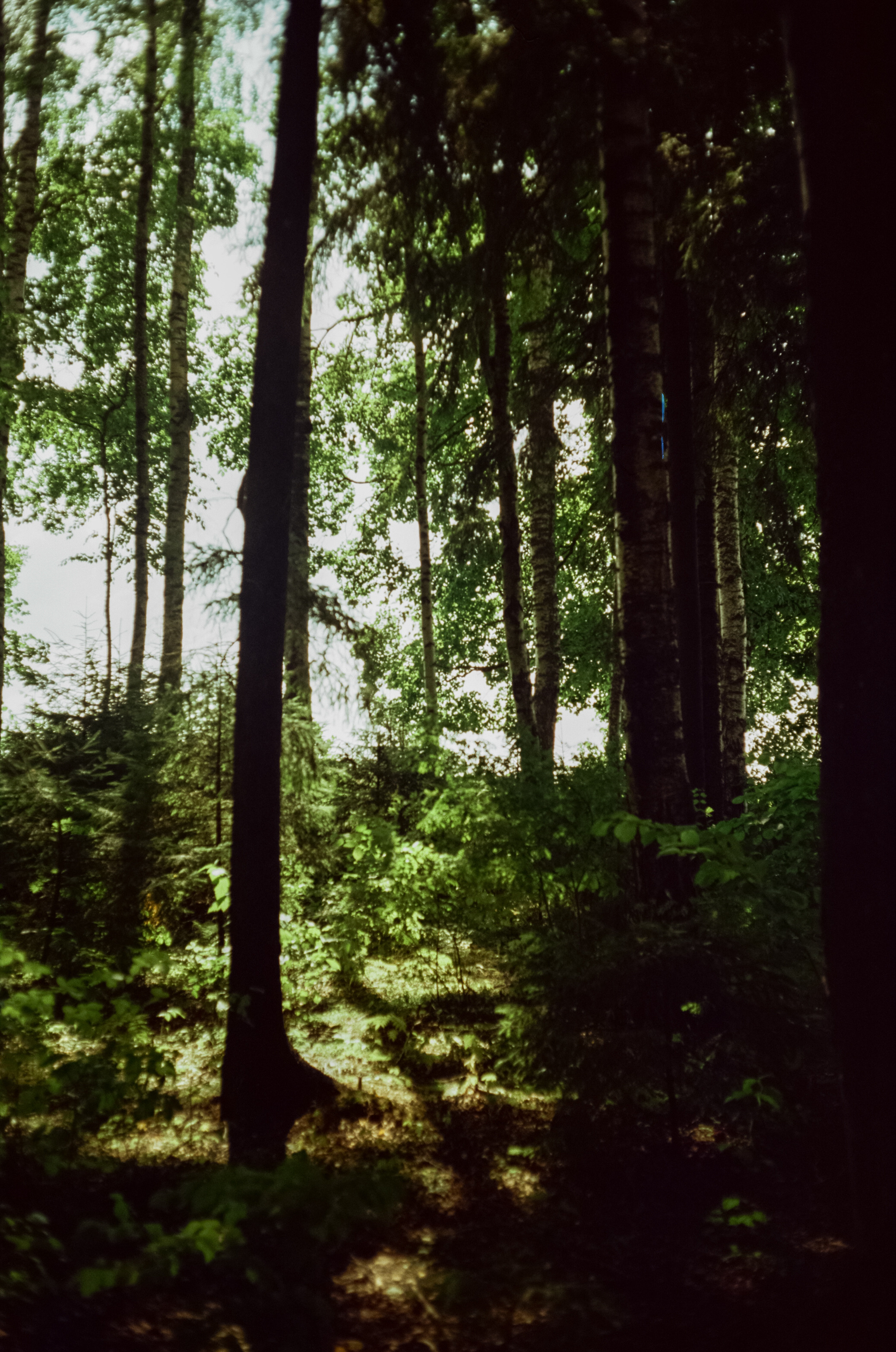 Canon Canonet QL17 G-III QL