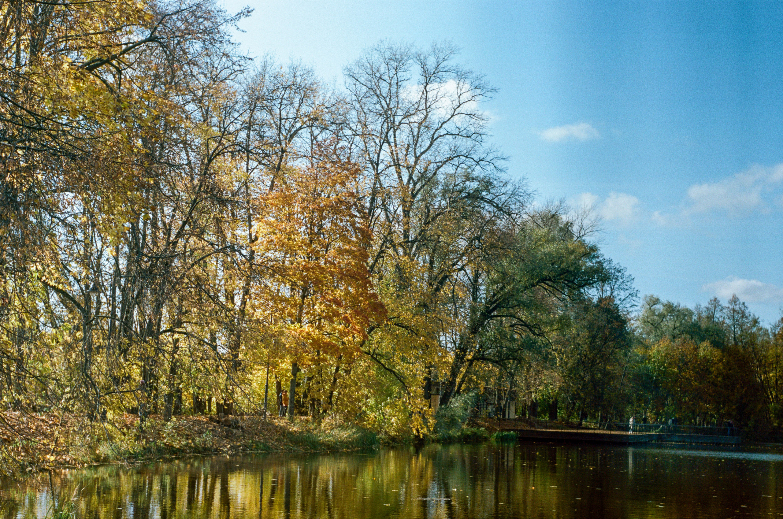 Enna Munchen Ennalyt 50mm f1.9 примеры фотографий