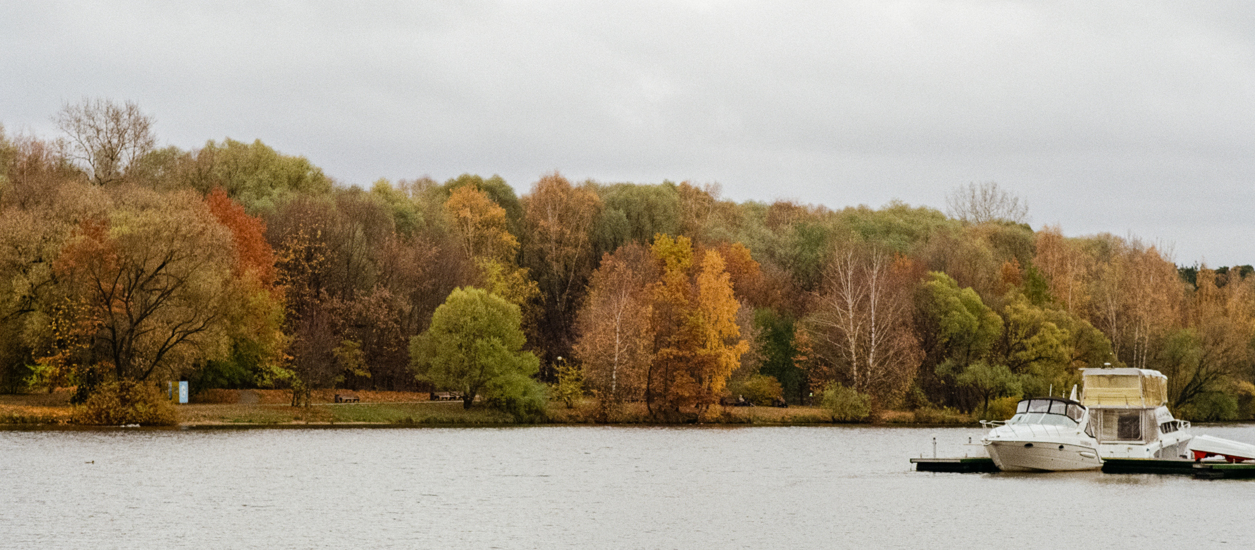 Московская осень на Kodak Gold 200