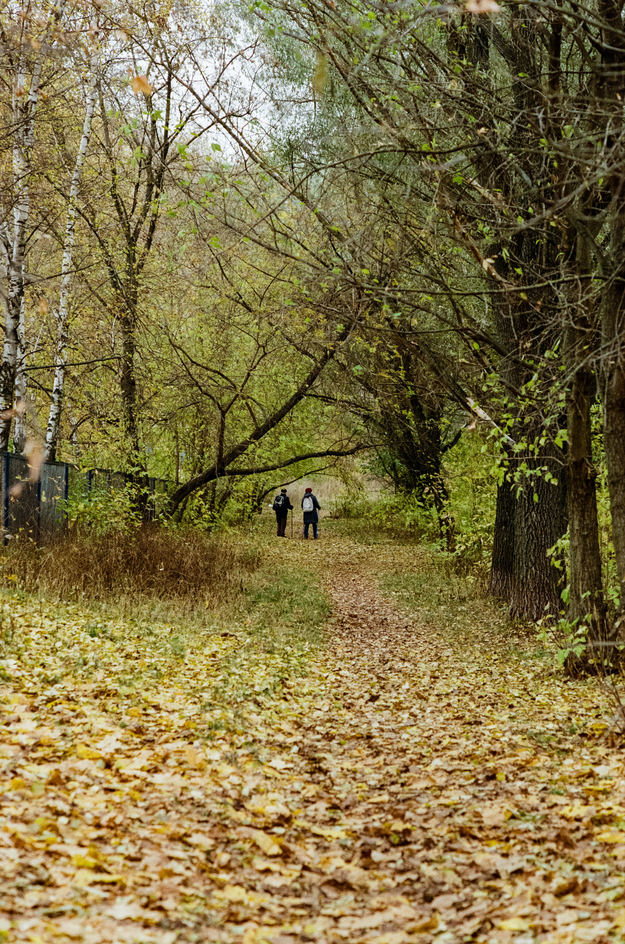 Московская осень на Kodak Gold 200