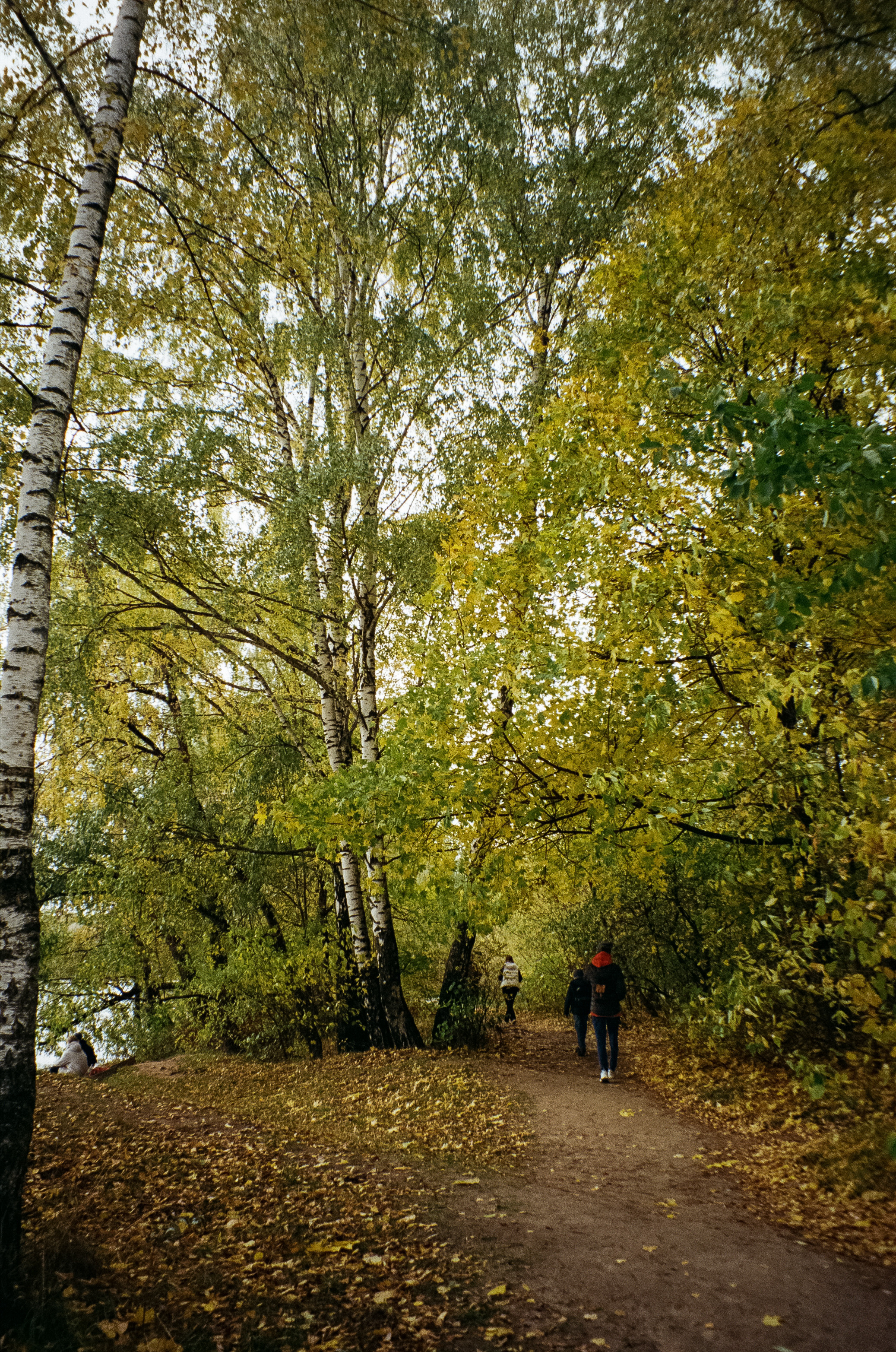Осень на Kodak Gold 200