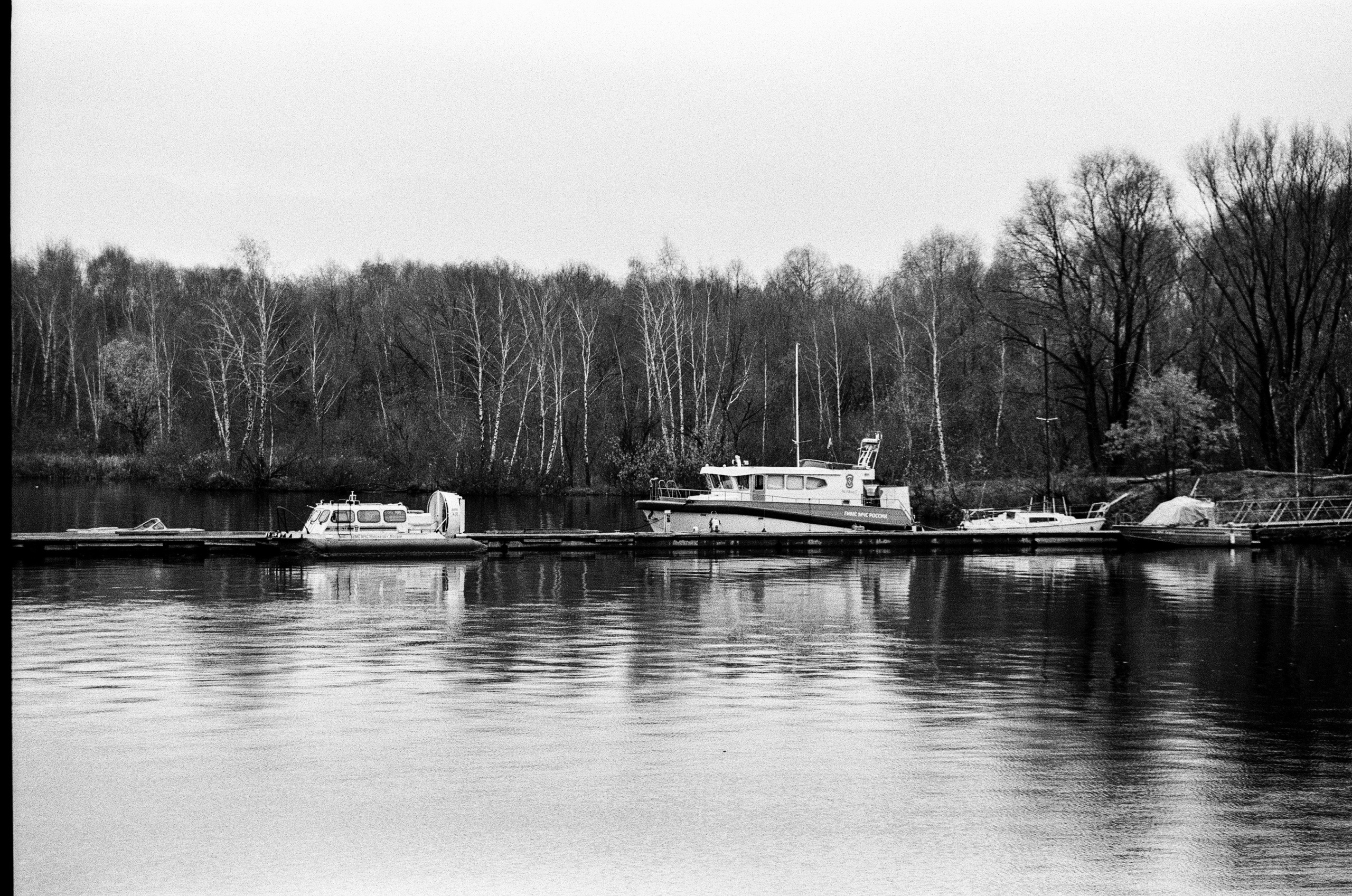 Nikon F80 — Voigtlander Ultron 28-105mm f2.8-3.8 / SFL T-42 ISO 400