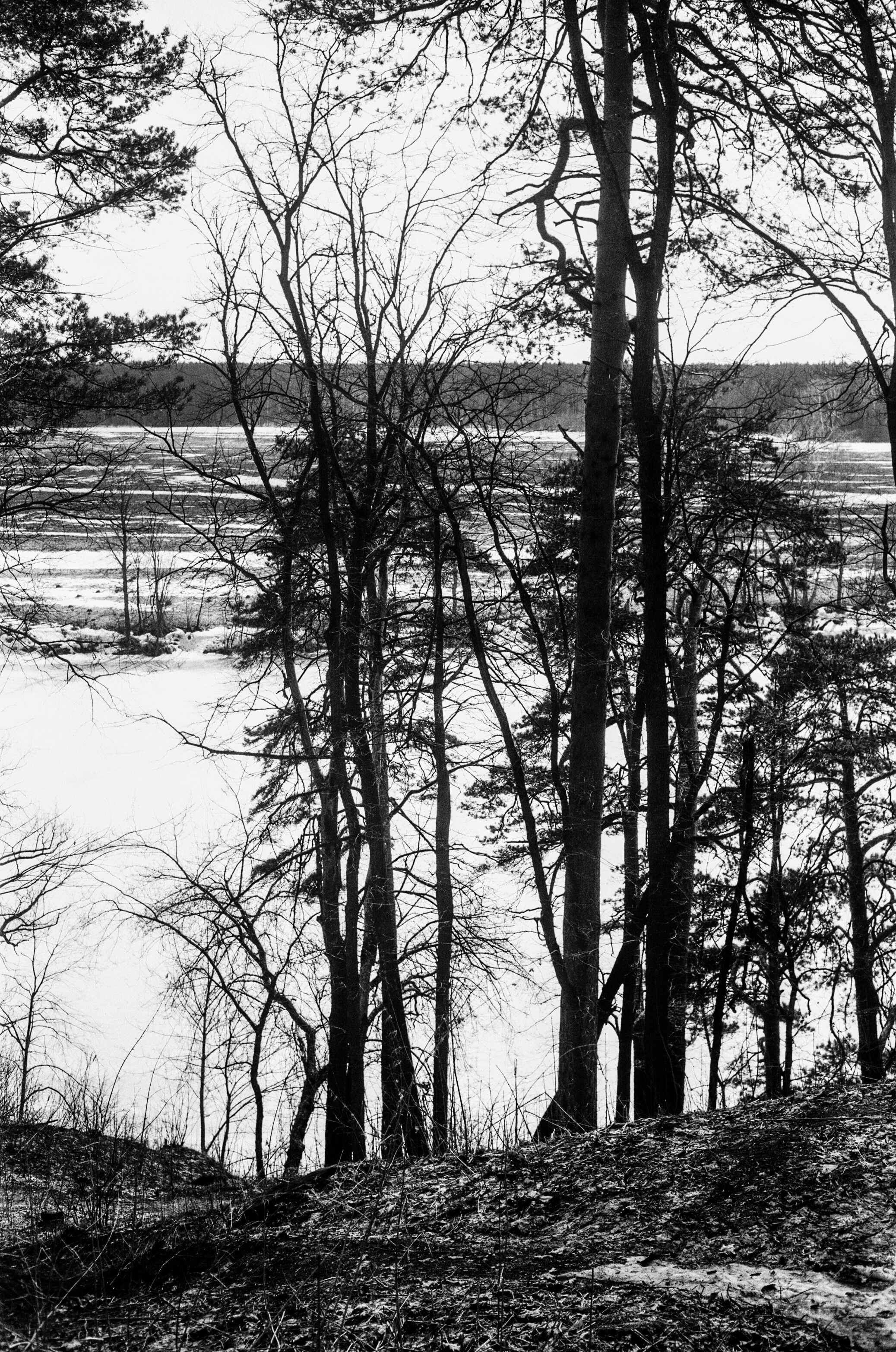 Minolta V2 / ТАСМА Тип-25