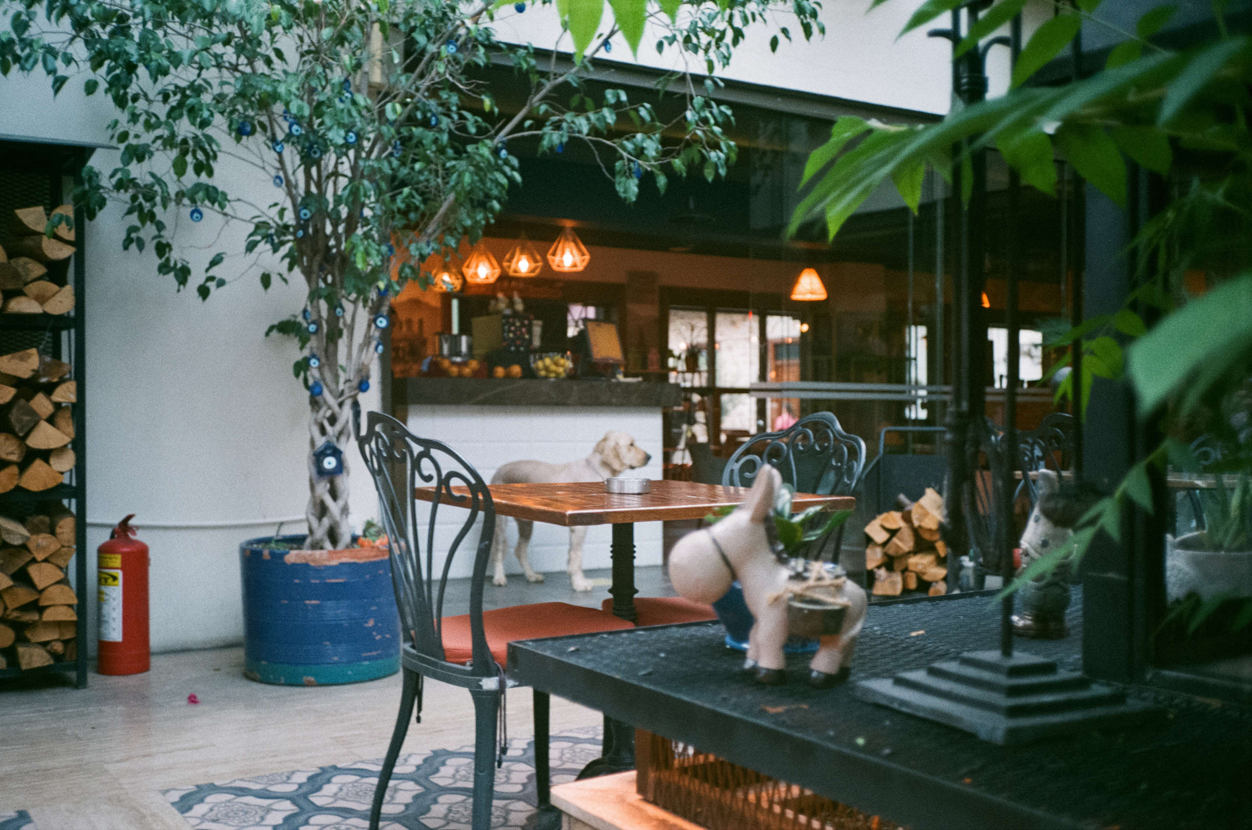 Анталья — прогулка на катере