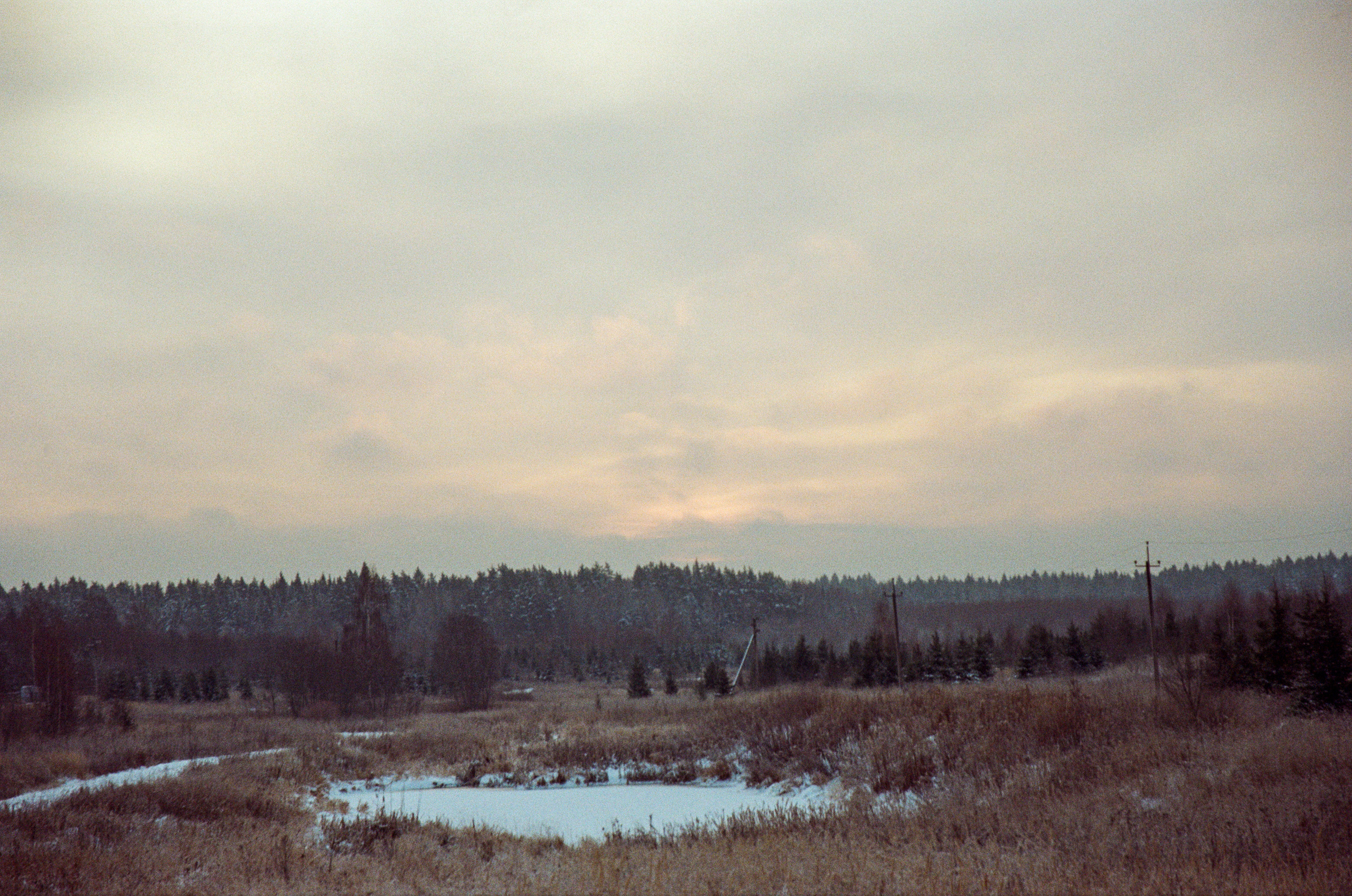 Contax N1 — Carl Zeiss Vario-Sonnar 24-85mm / Kodak Color 200