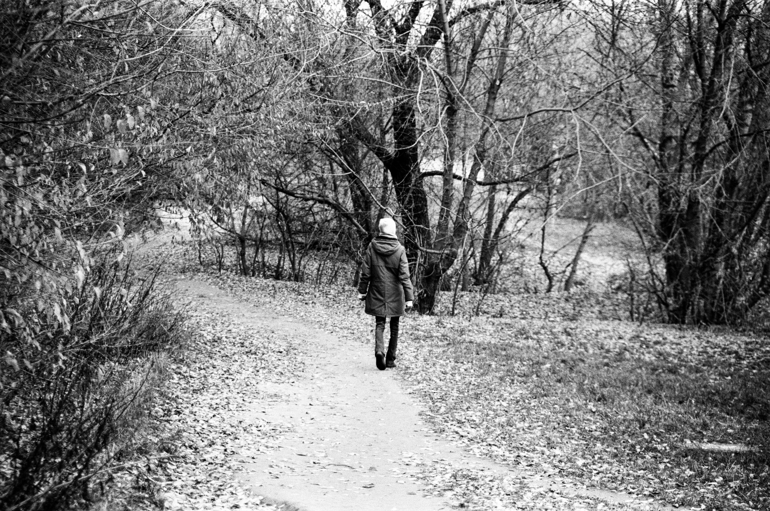 Nikon F80 — Voigtlander Ultron 28-105mm f2.8-3.8 / SFL T-42 ISO 400