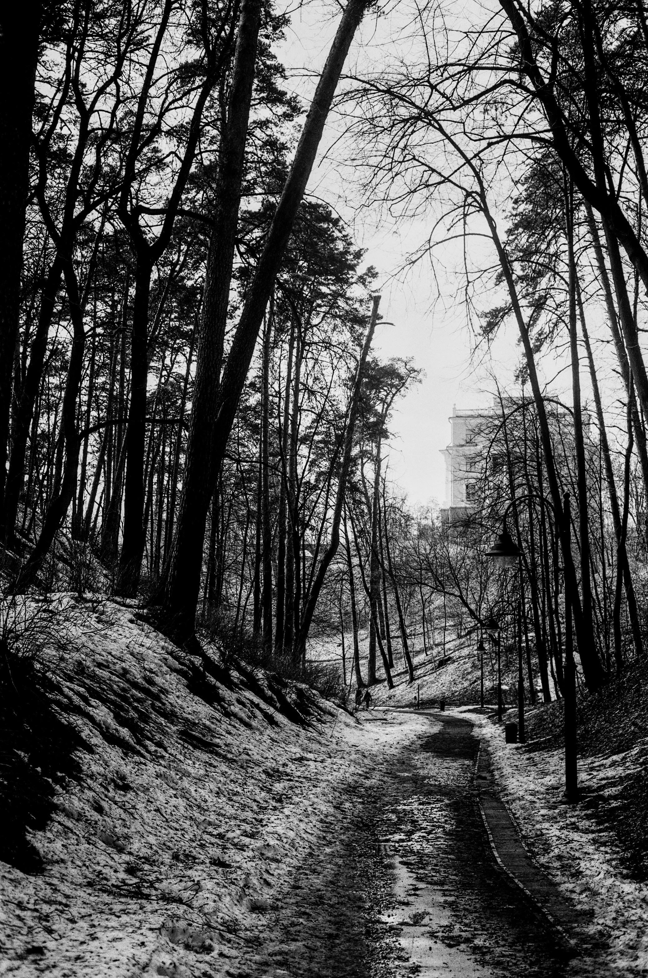 Minolta V2 / ТАСМА Тип-25